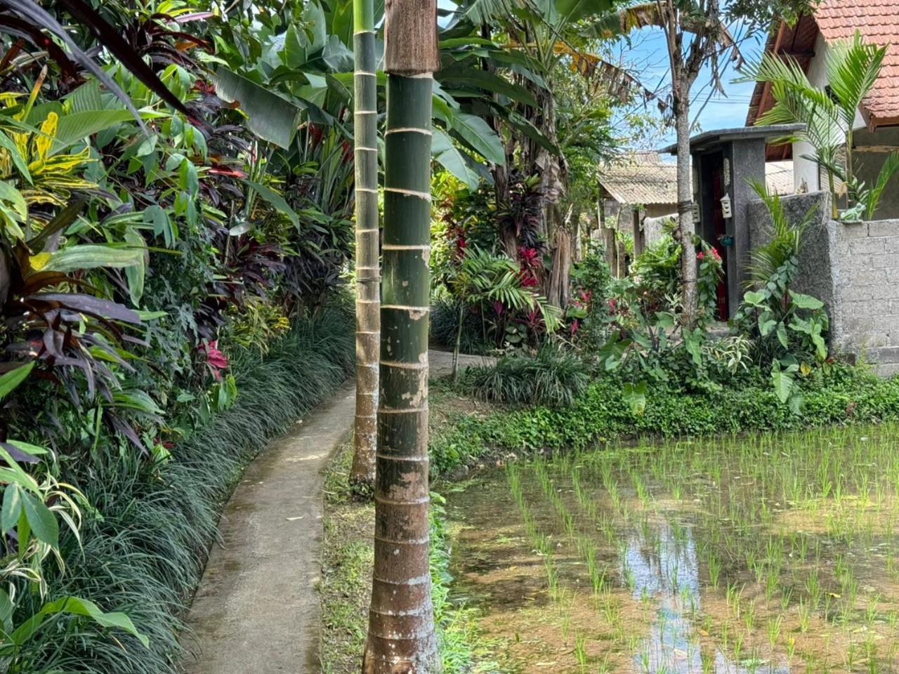 Casa Dewa Di Jati view 5
