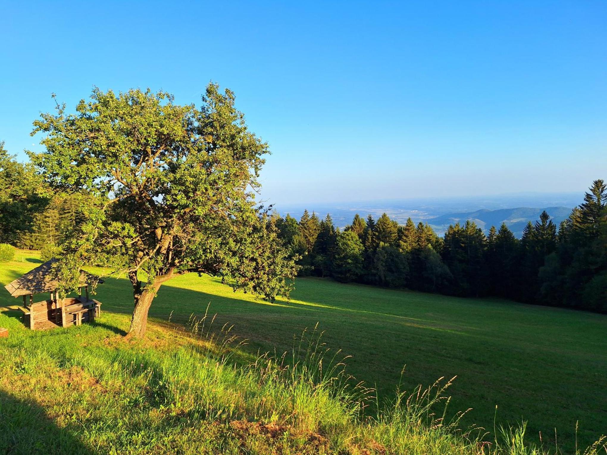 Ferienhütte Panoramablick