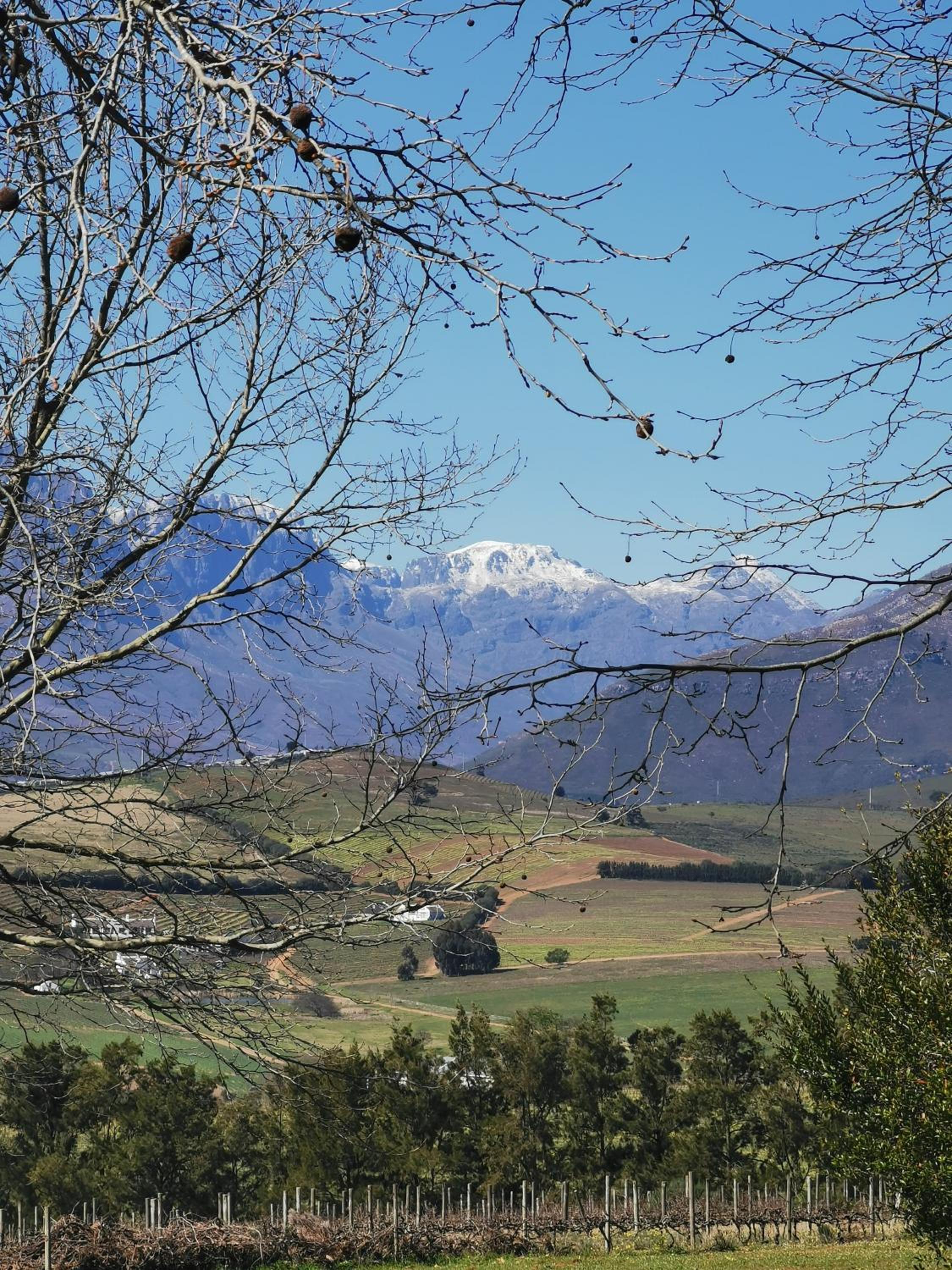Gemoedsrus Farm