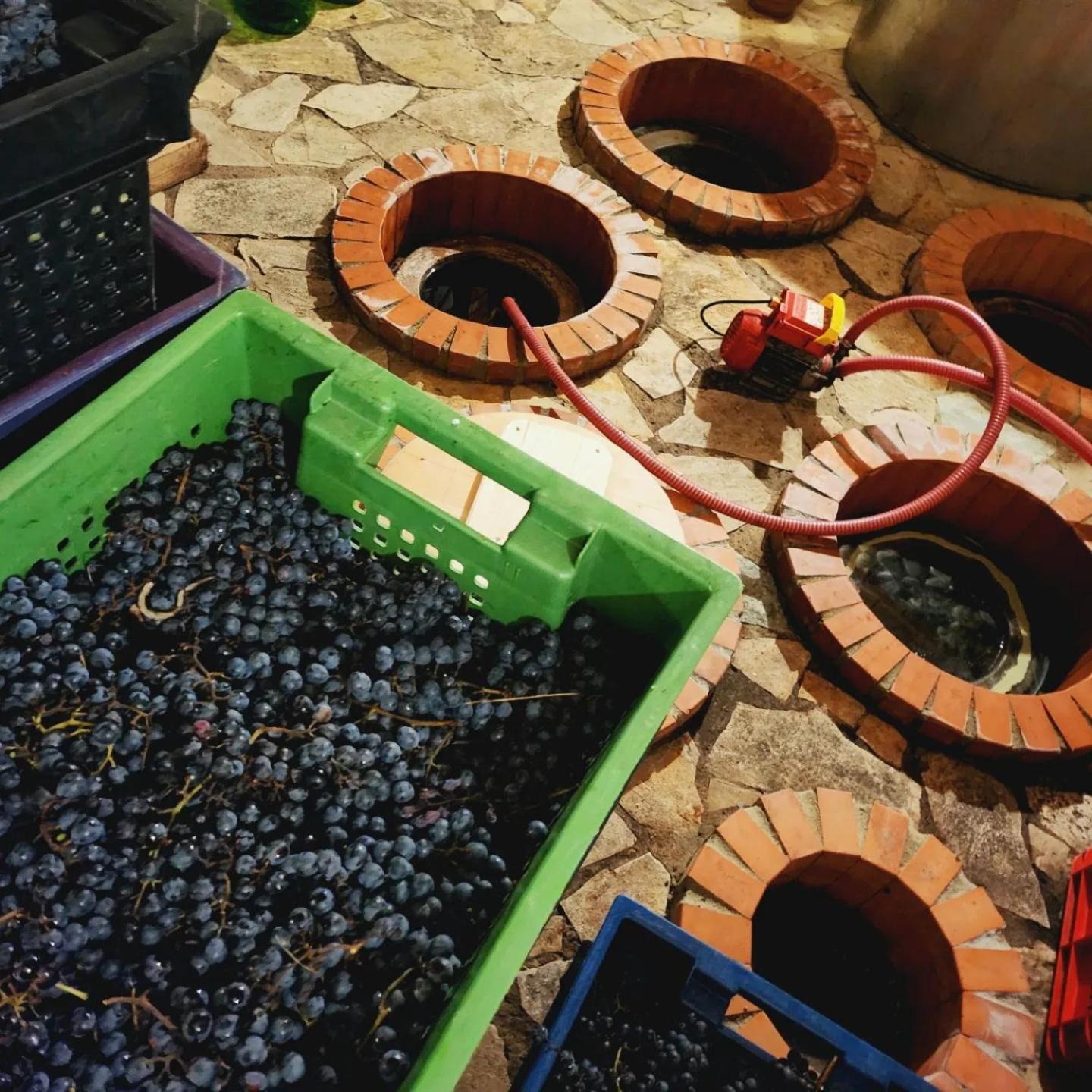 Lomtadze Family Wine Hotel