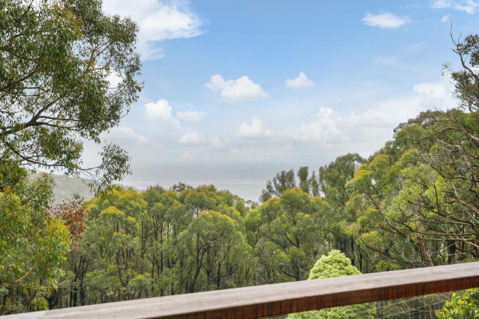 Embrace Nature's Beauty in Ferny Creek