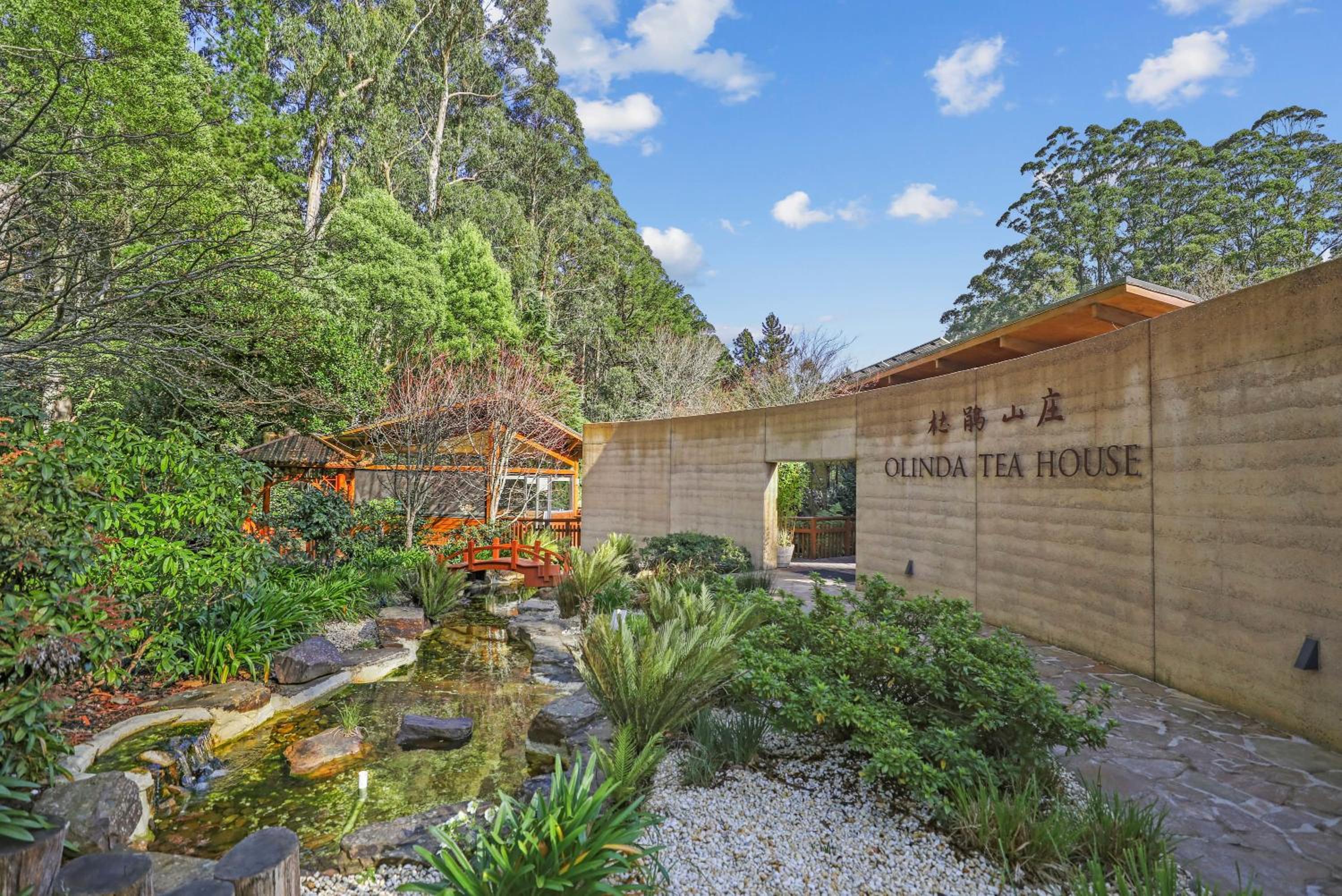 Embrace Nature's Beauty in Ferny Creek