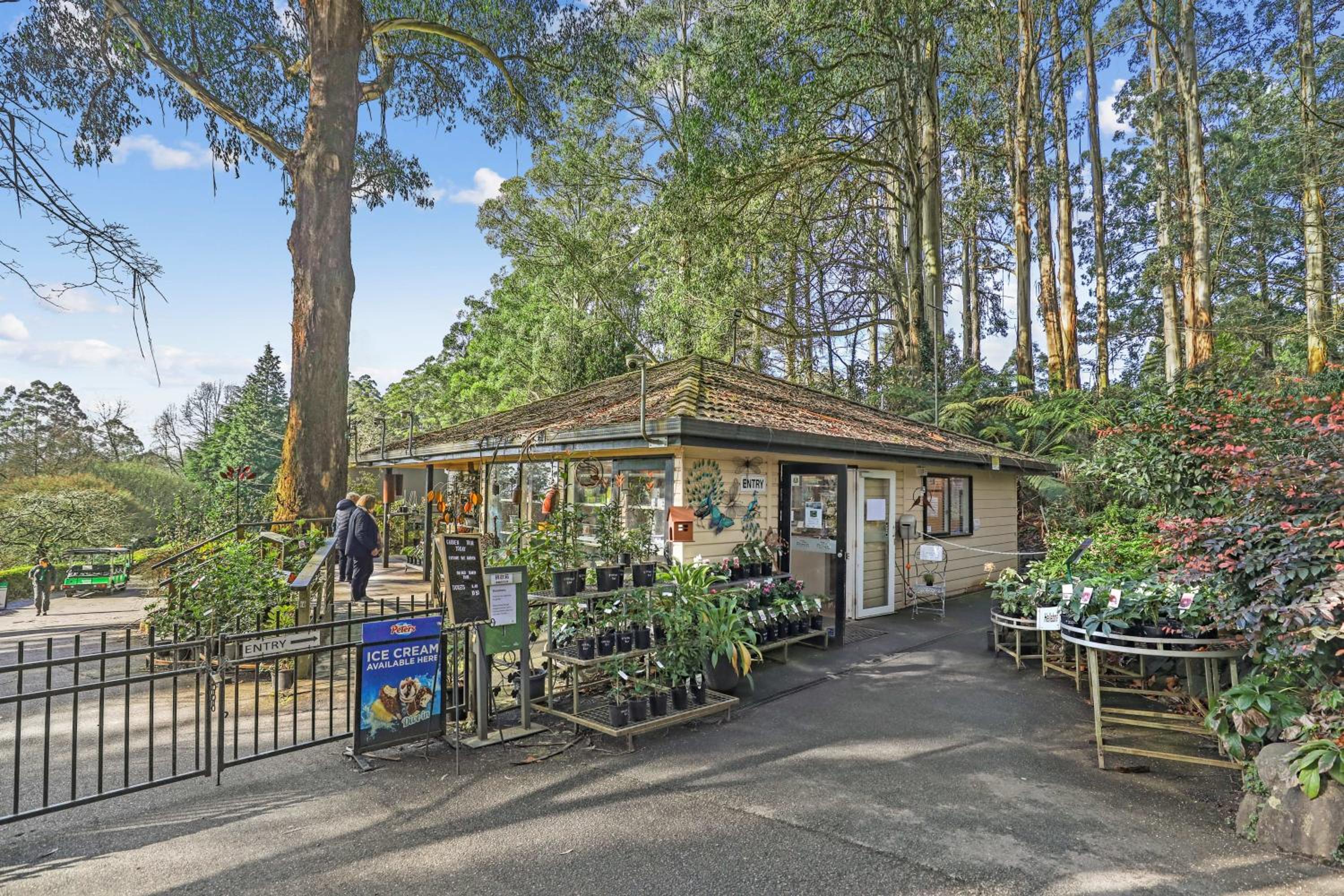 Embrace Nature's Beauty in Ferny Creek