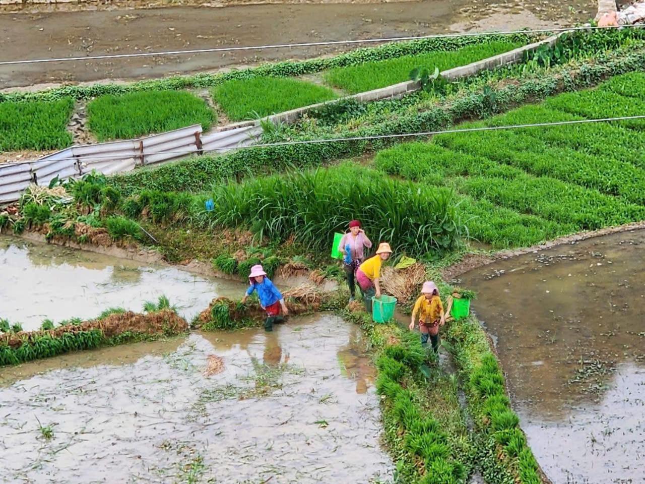 Loop Top Đồng Văn Homestay