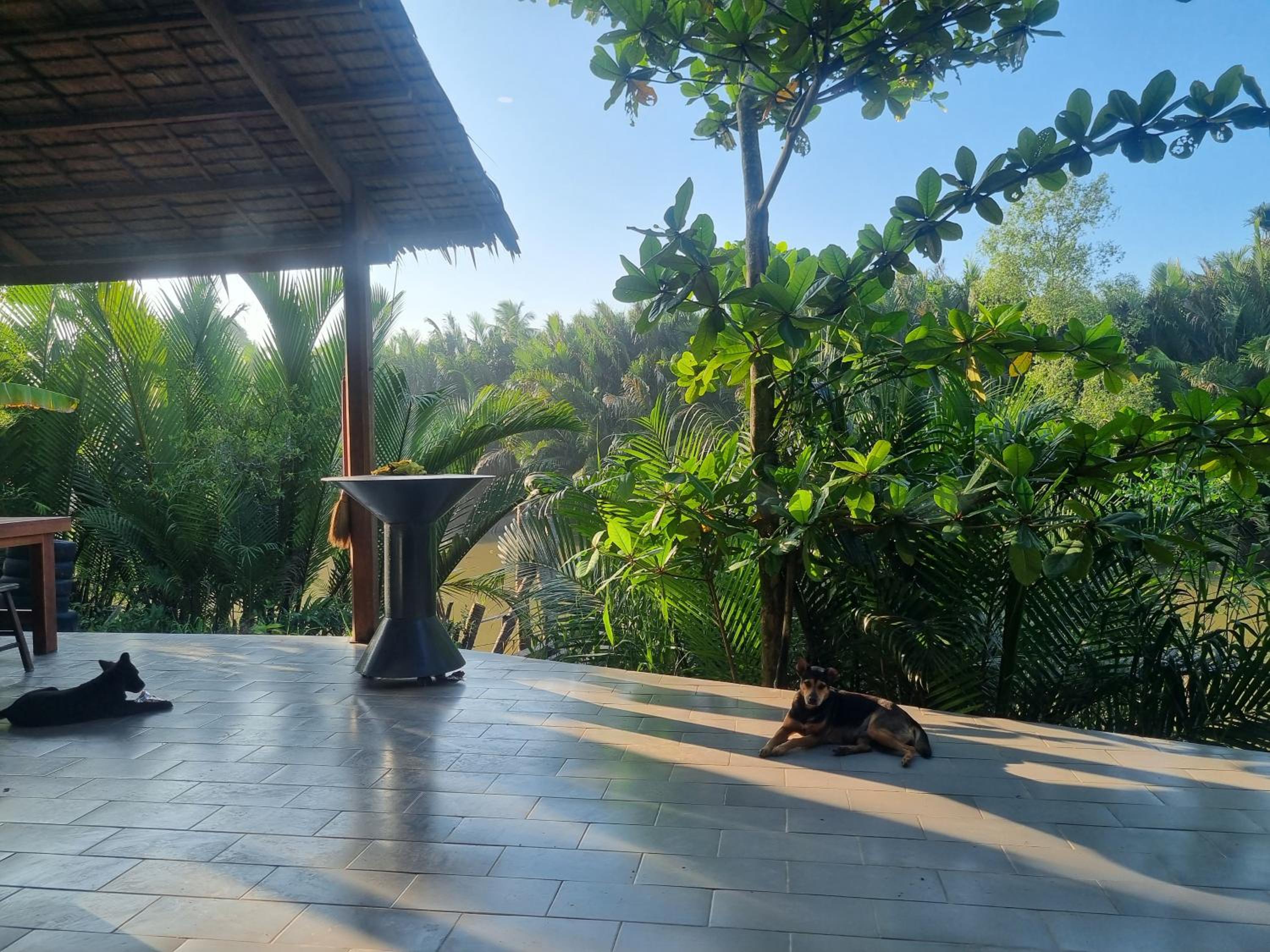 The Zen - InnerZen Mekong Riverside homestay Ben Tre 1 bed for 1-2 persons, 2 beds for 3-4 persons