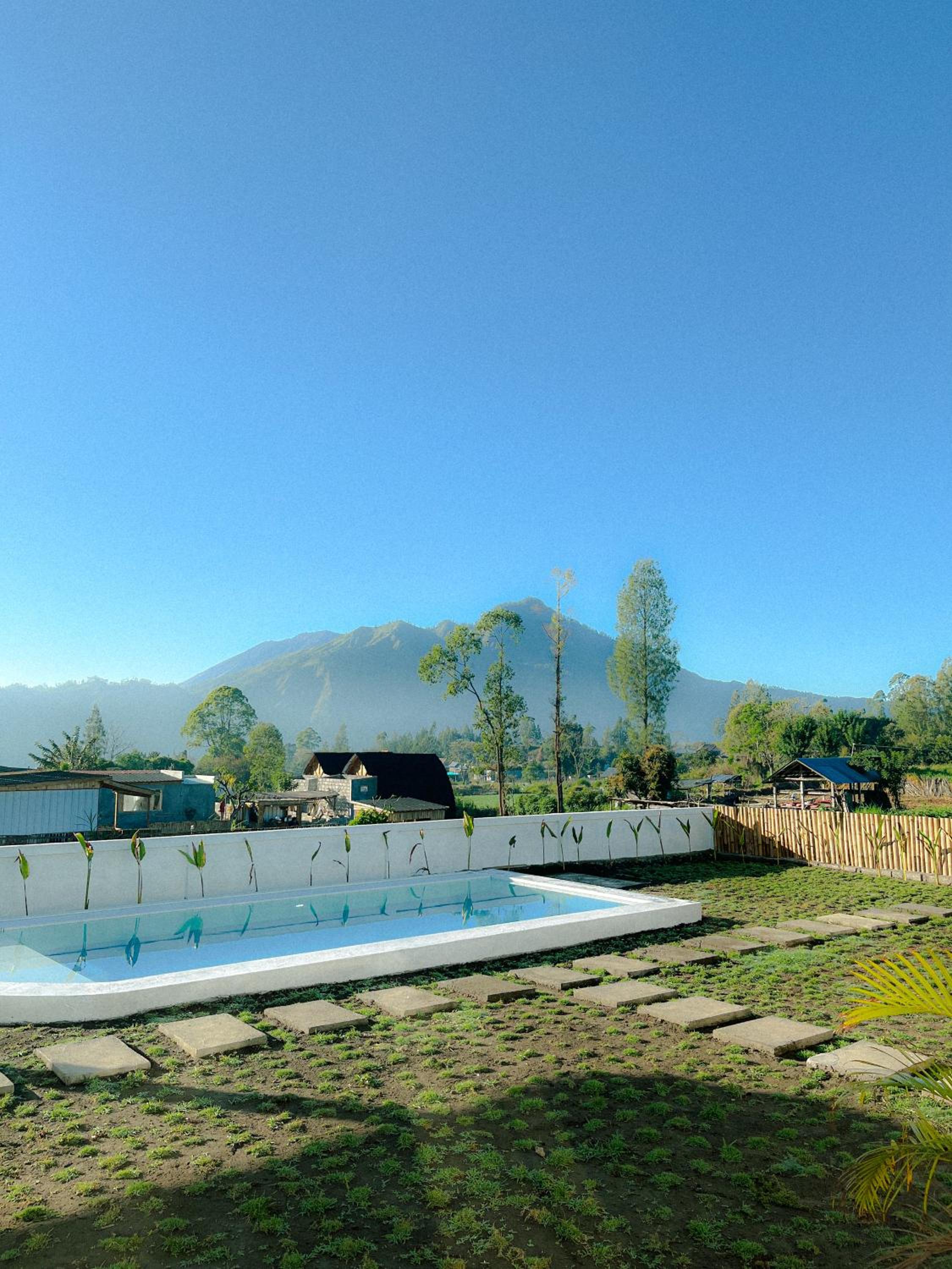 Volcano Garden