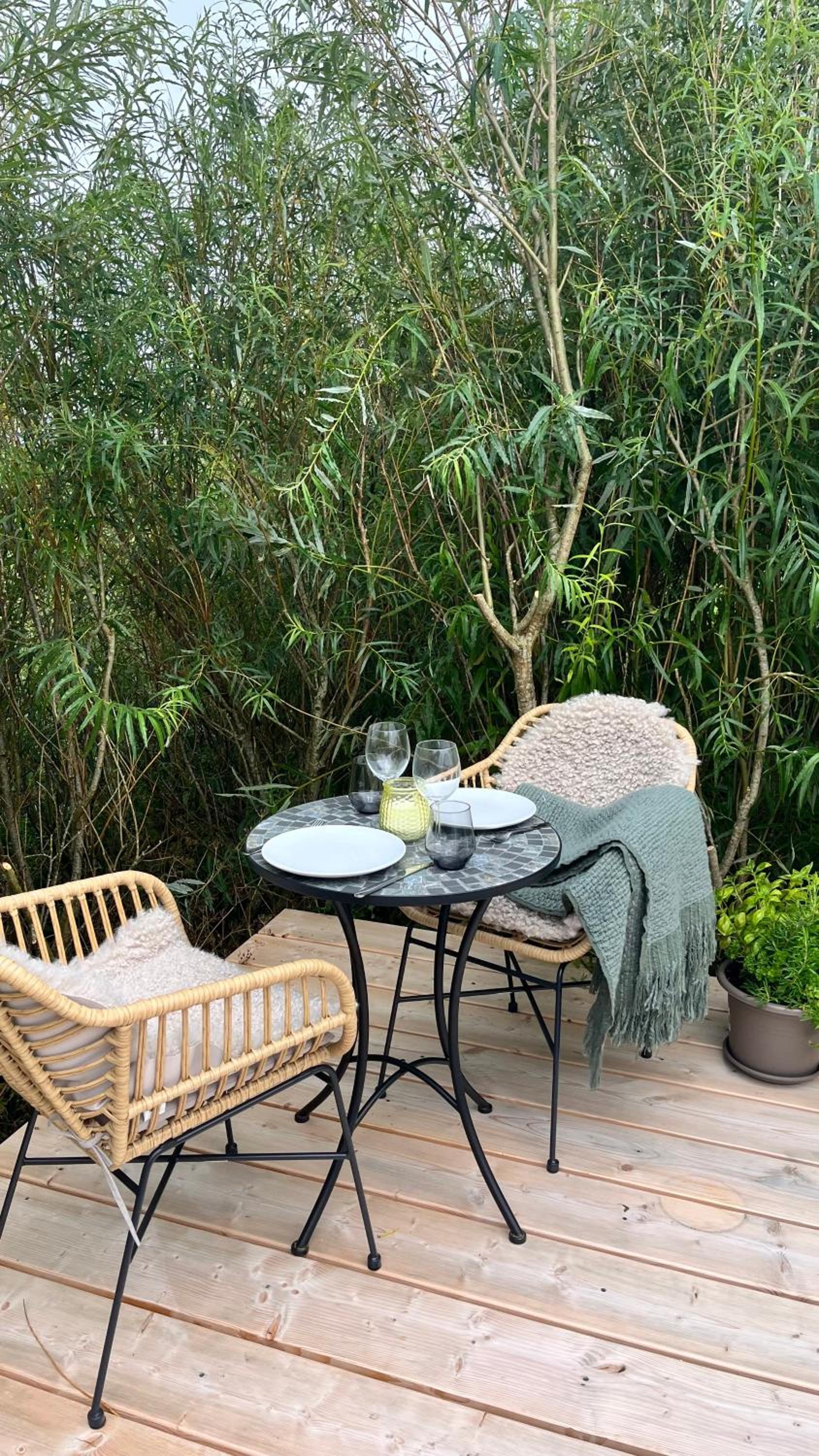 balance & terrace