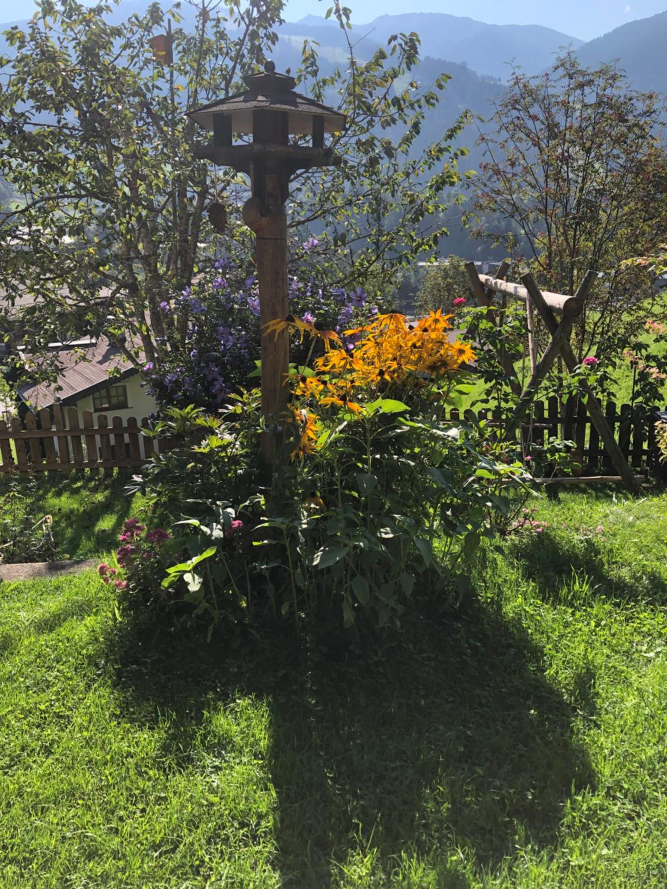 Photo 47