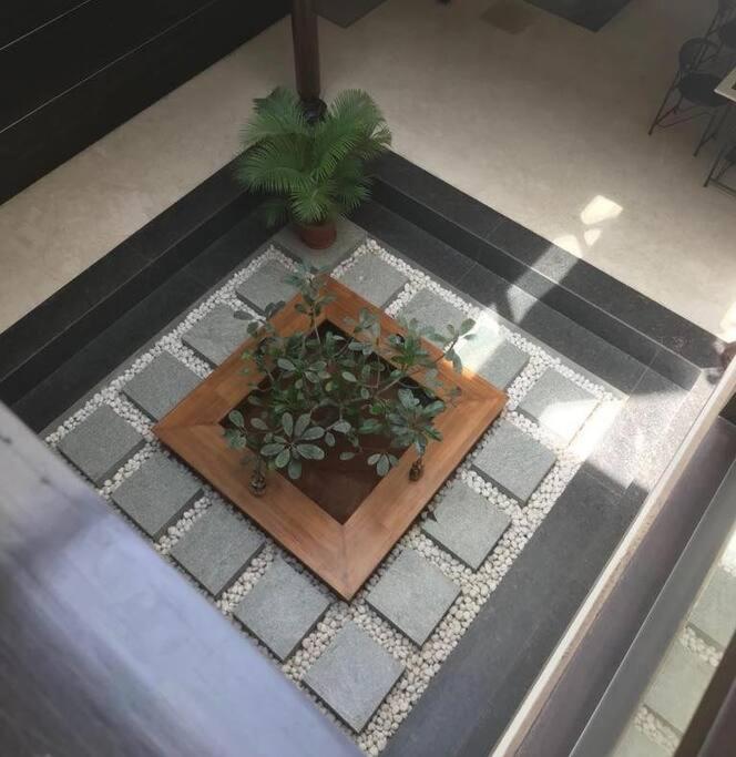 Photo 19