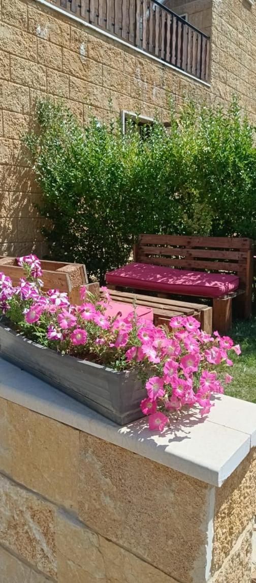 Rokwood faraya