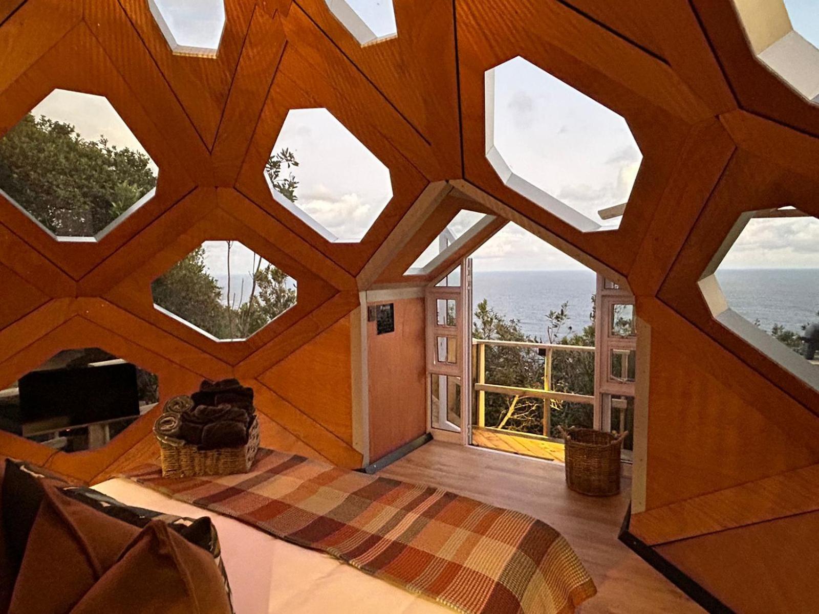 The Hive - Jungle at Misty Mountain Reserve view 3