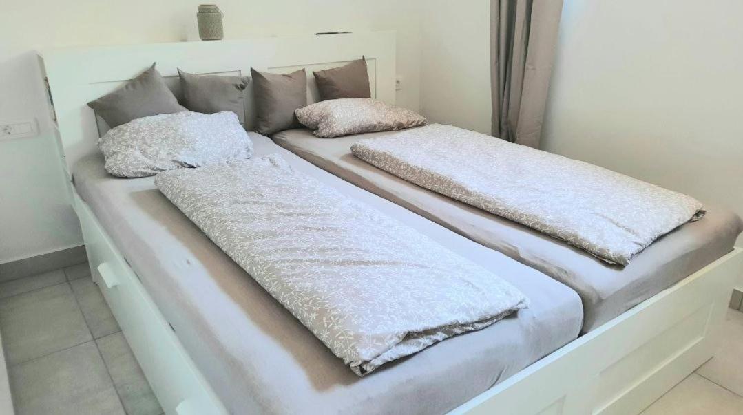 Apartment Olive Istra
