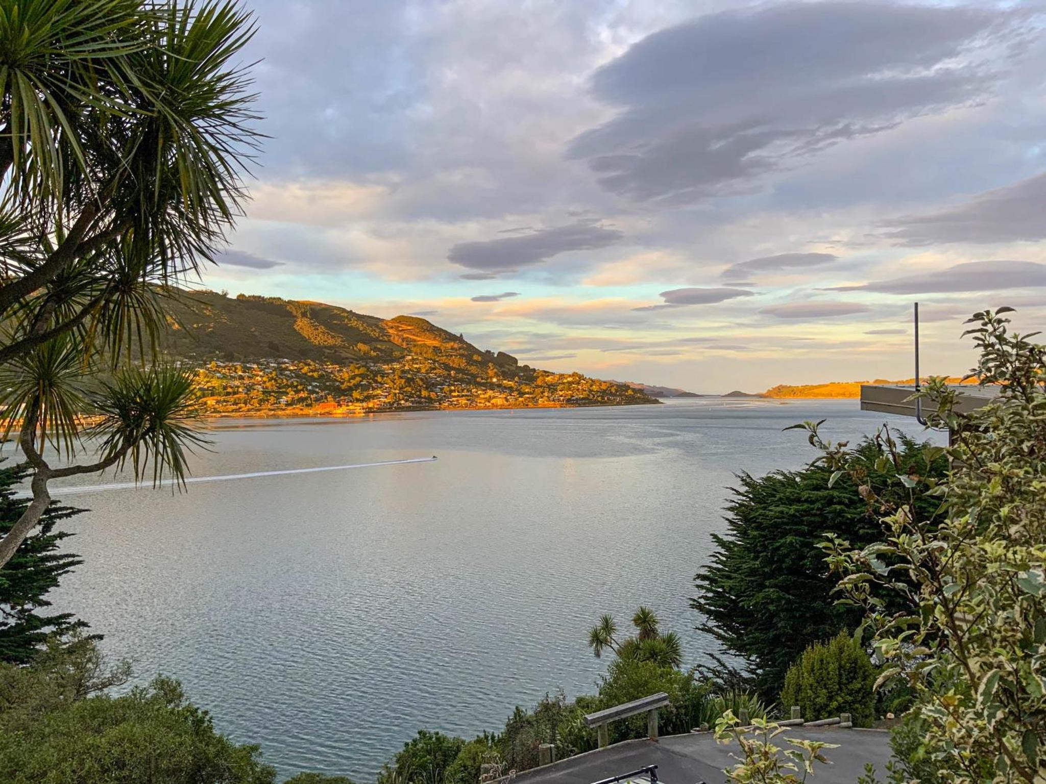 The Cove Cabin - your quiet escape view 4