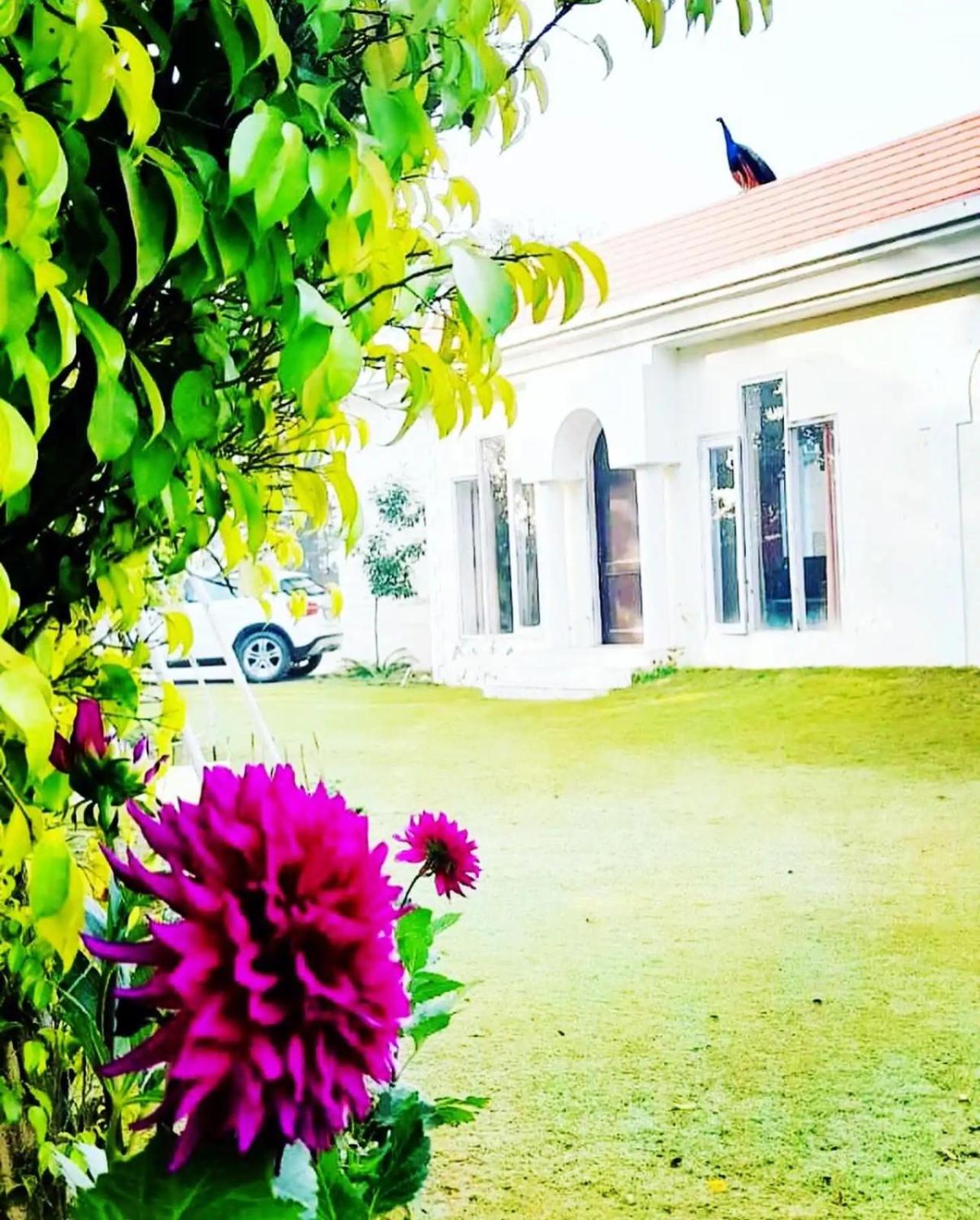 Riviera Cloud Farmhouse view 3