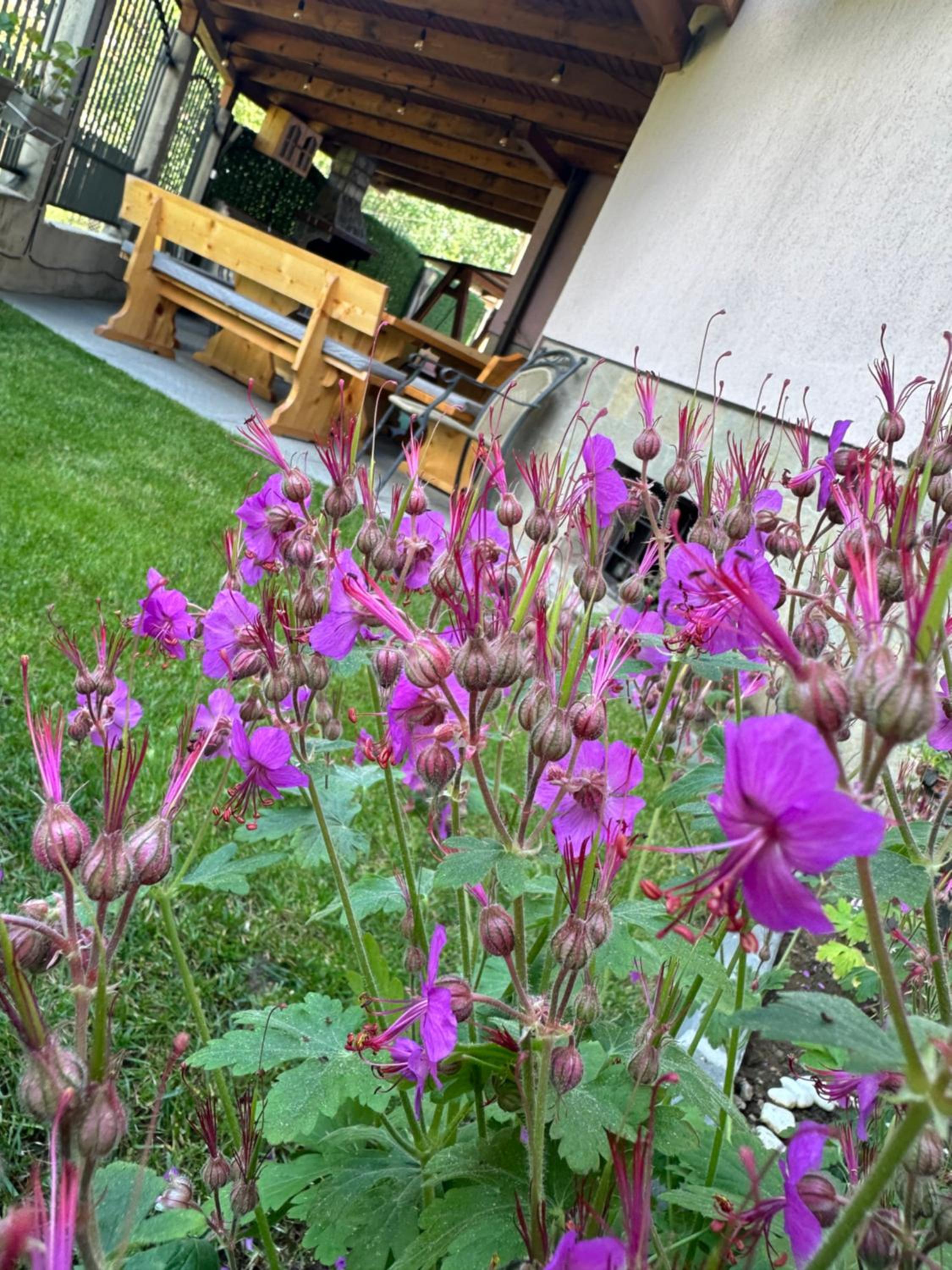 Advel Guest House