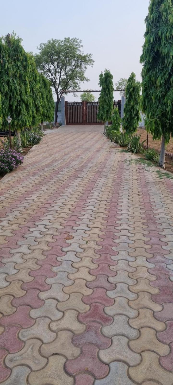 Photo 11