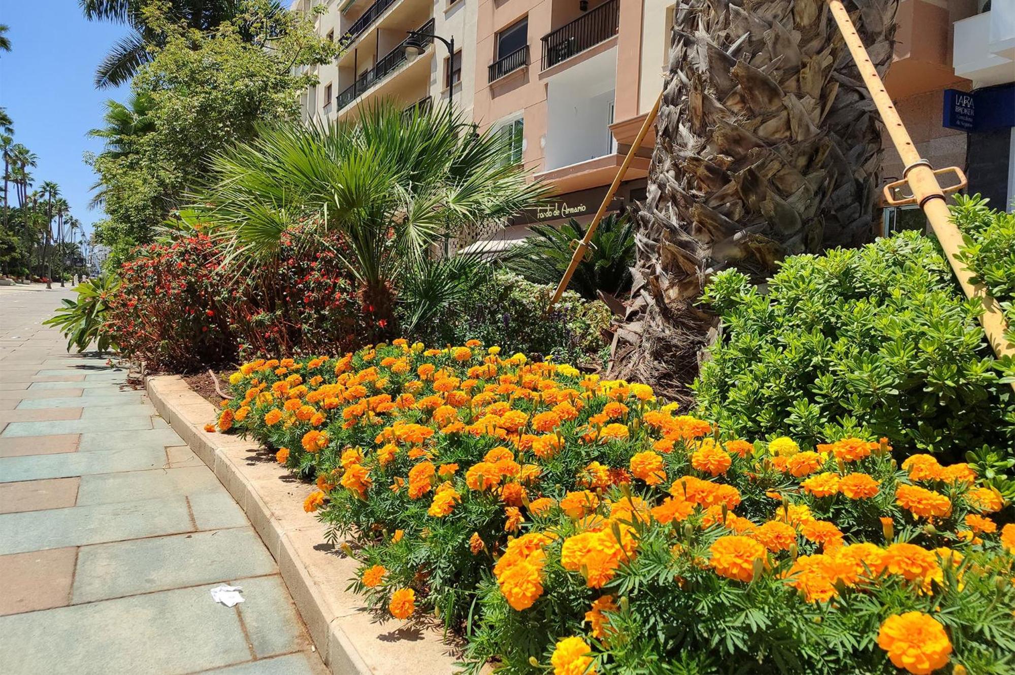 Edificio Jardín