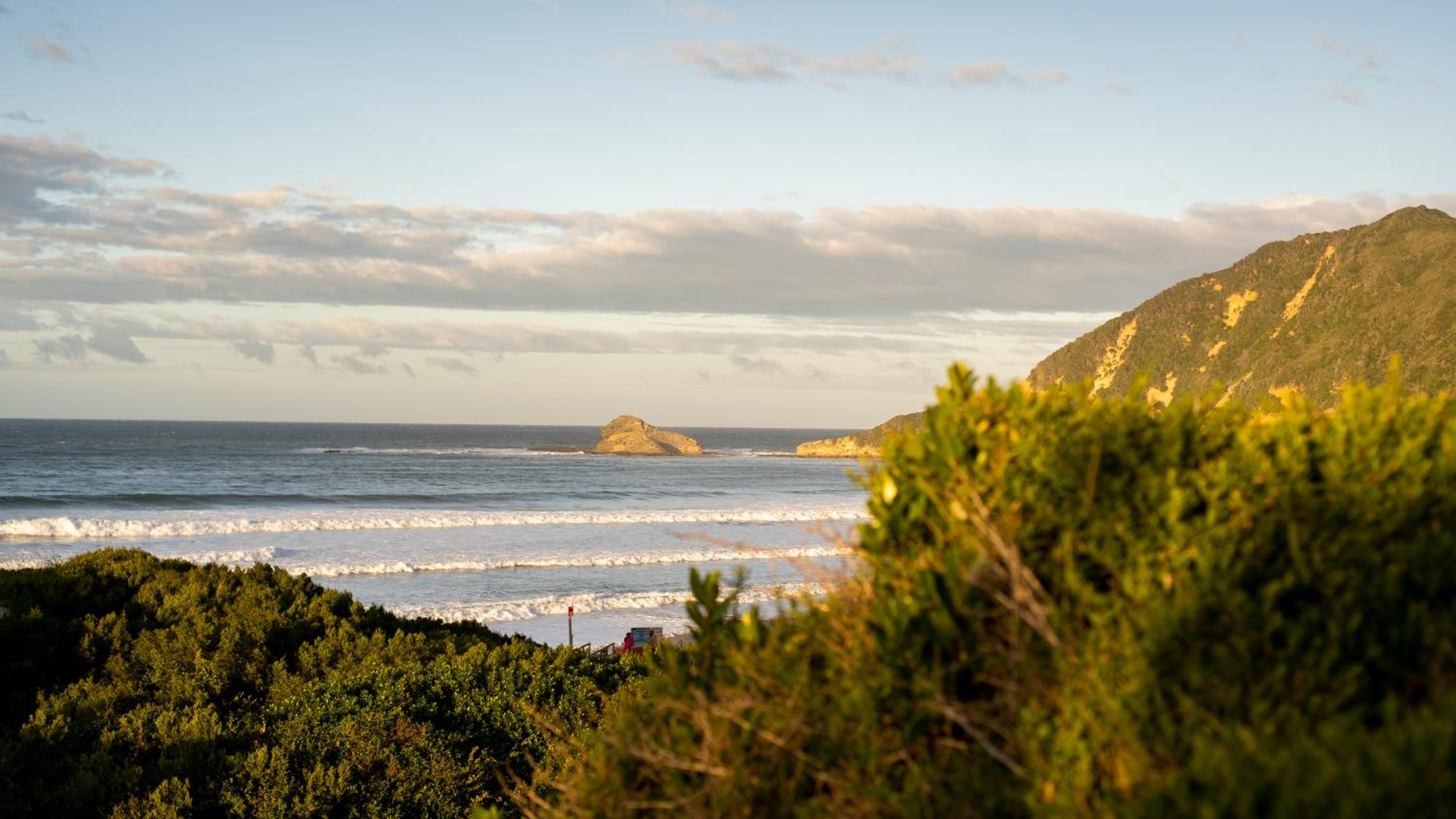 Milkwood Cottage - Seaview Serenity view 5