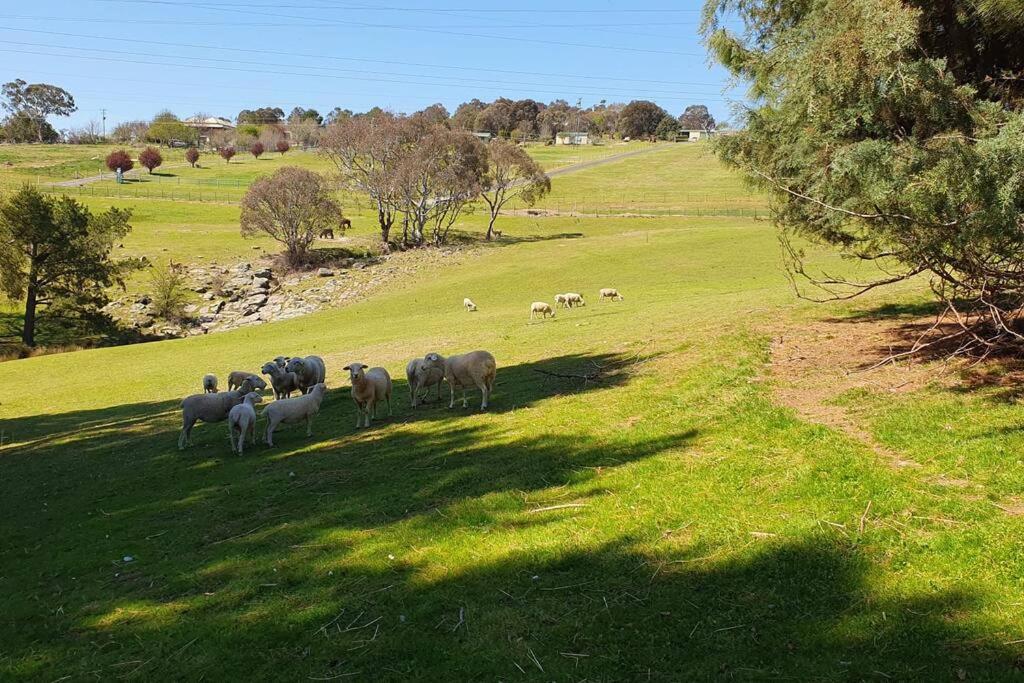 Yass Farm Stay