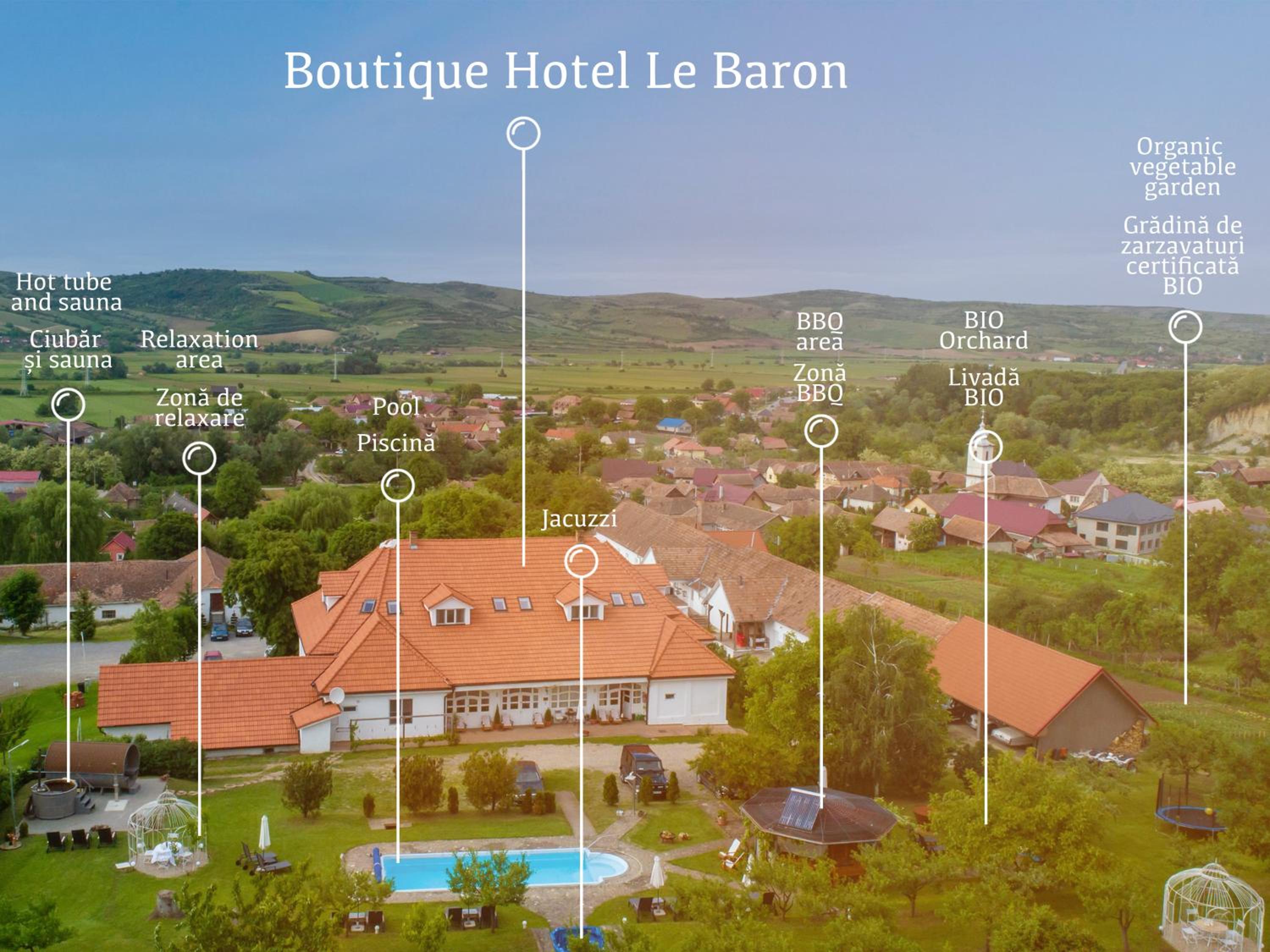 Boutique Hotel Le Baron view 3