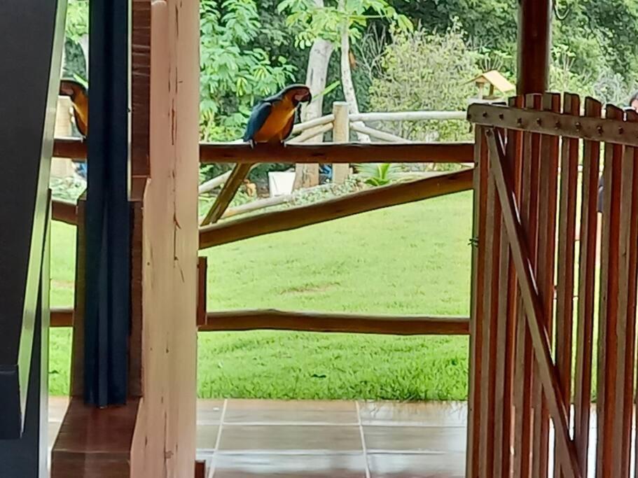 Rancho Serra do Cipo Condomínio Paz e Natureza