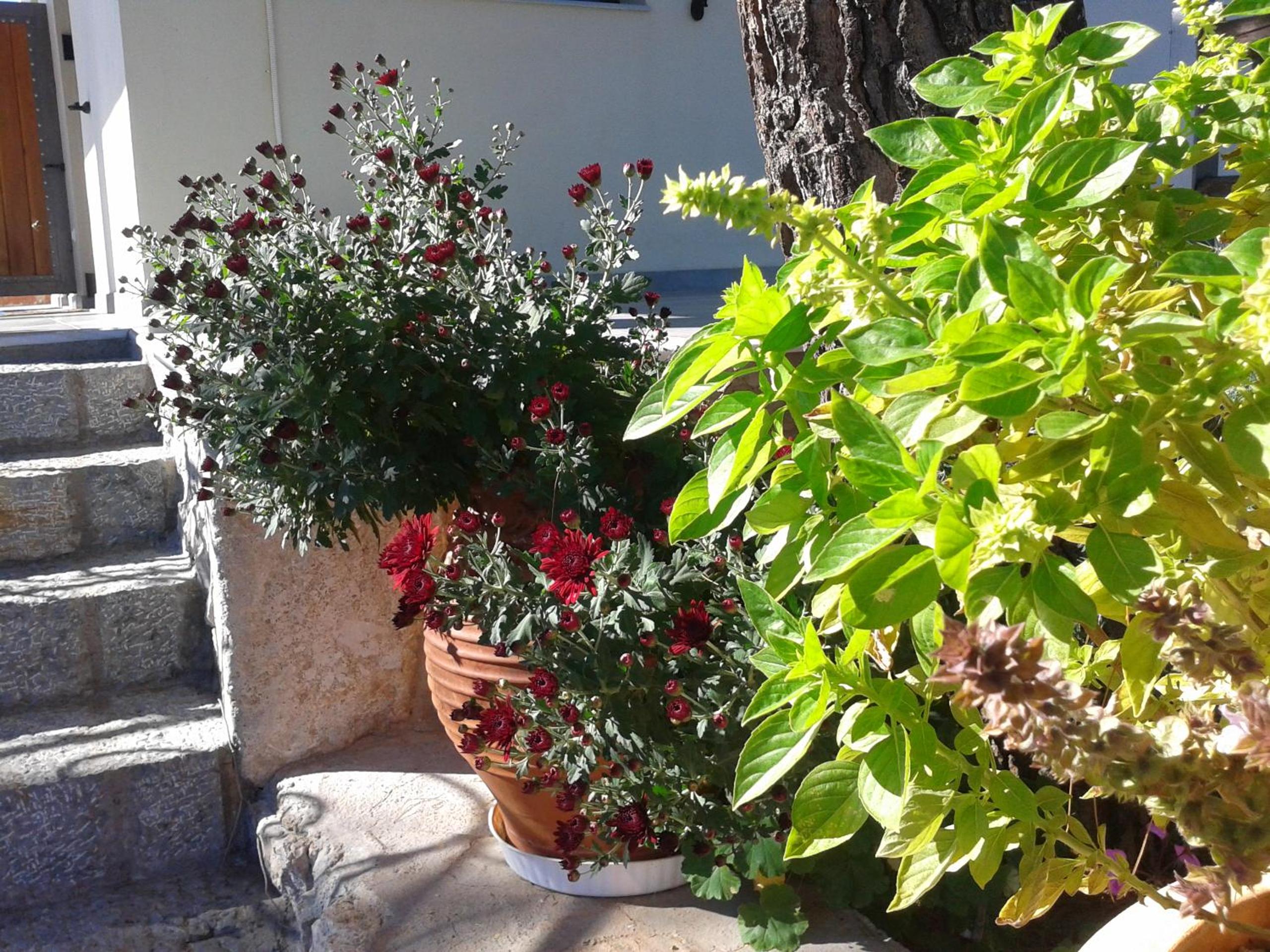Photo 44