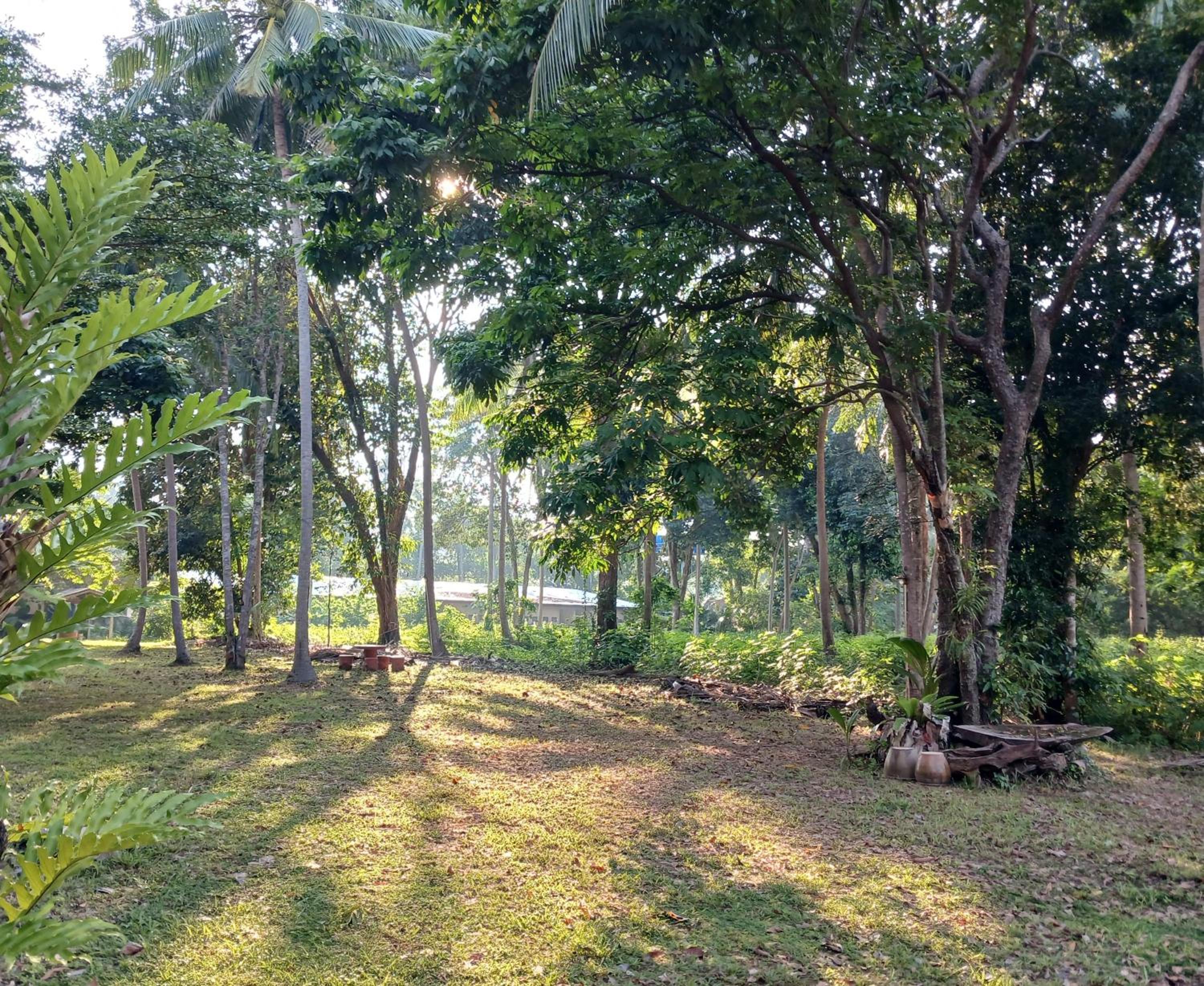 Baan Long Beach
