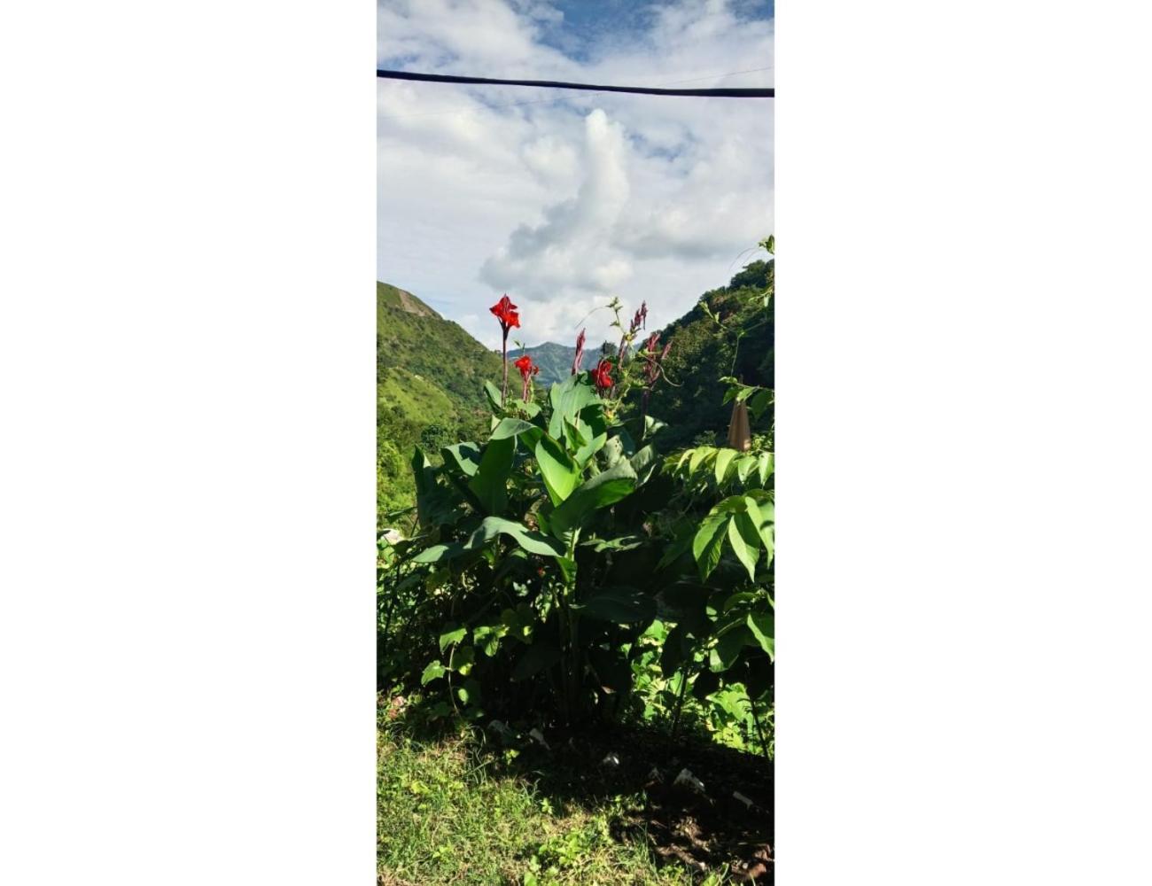 Kinara Camping & Adventure, Chakrata