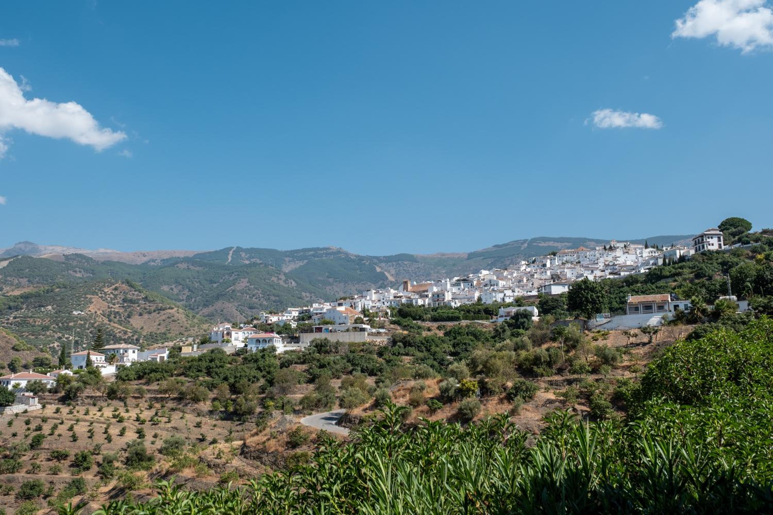 Casa Bán