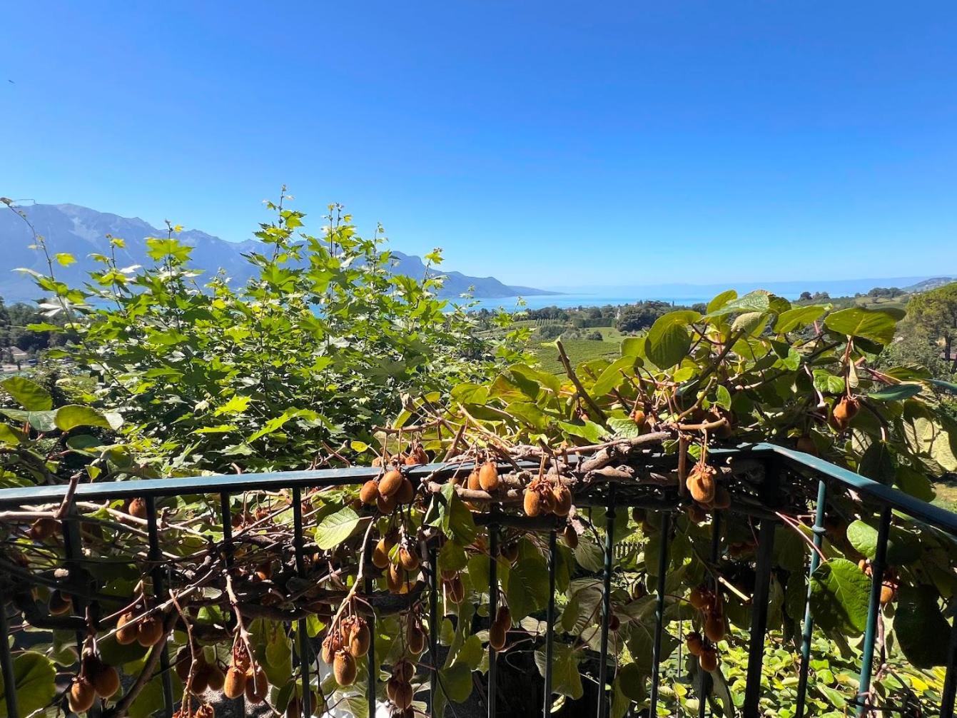 La Vigneronne, Chailly-Montreux