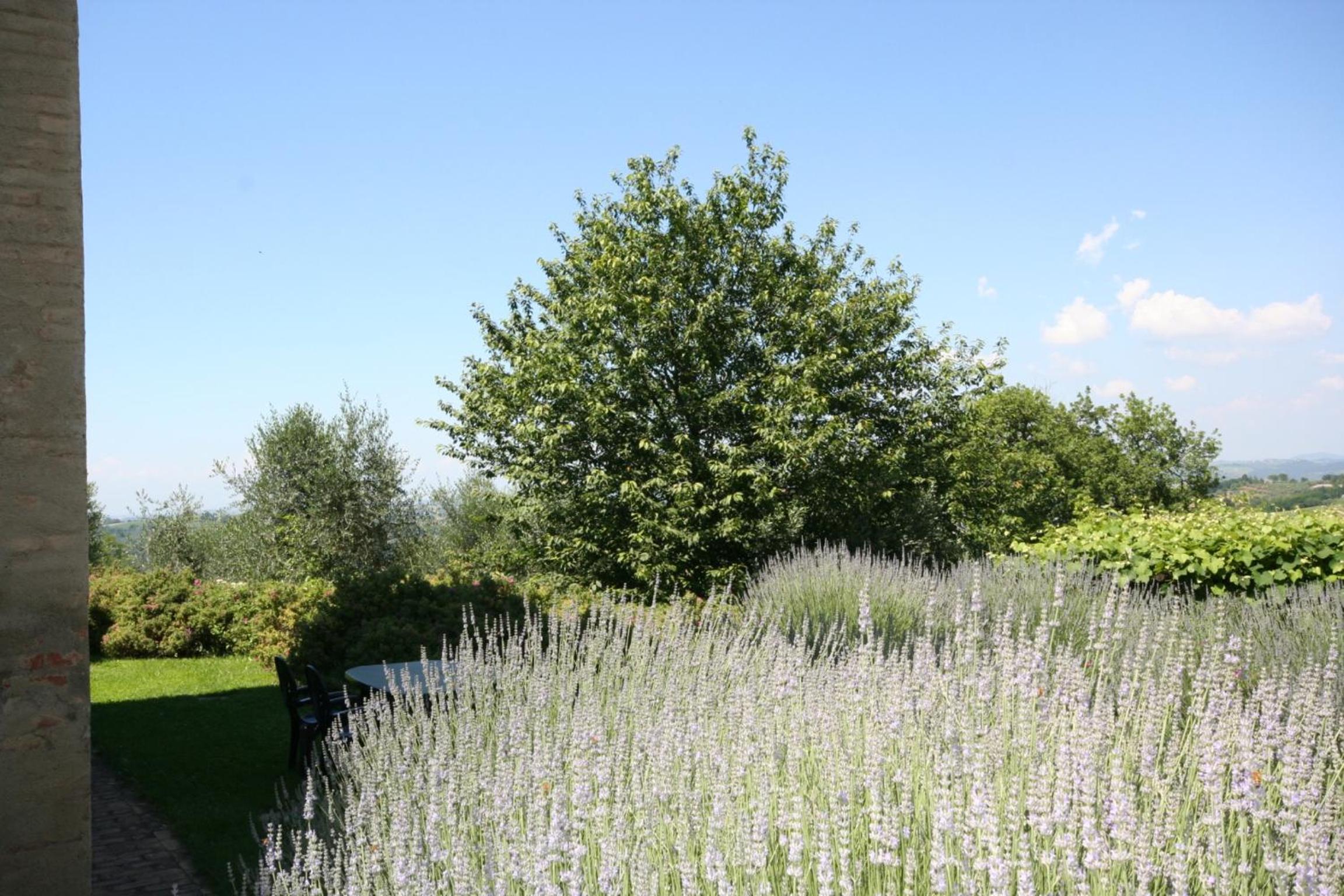 Photo 42