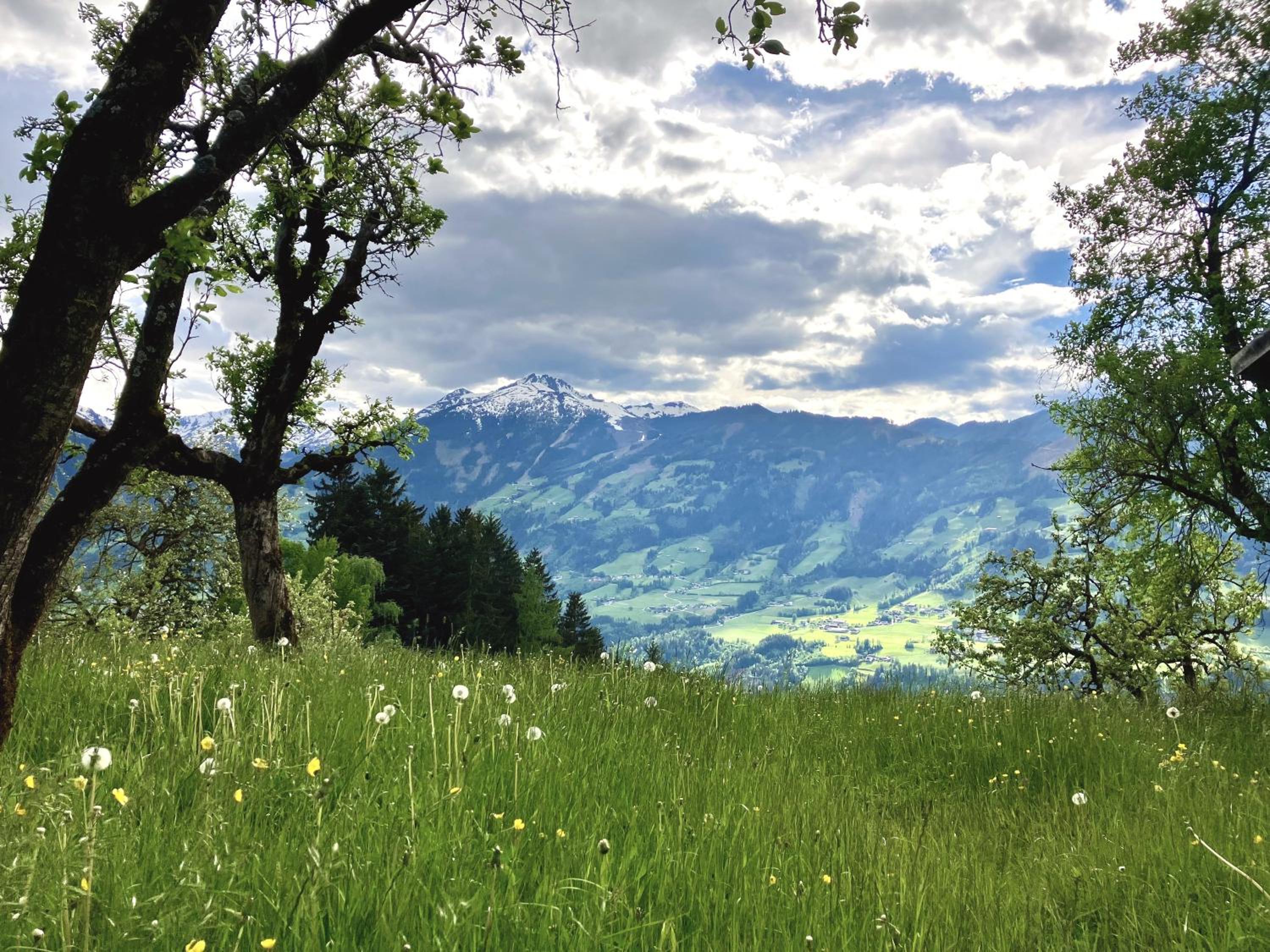 Berghof Moosen