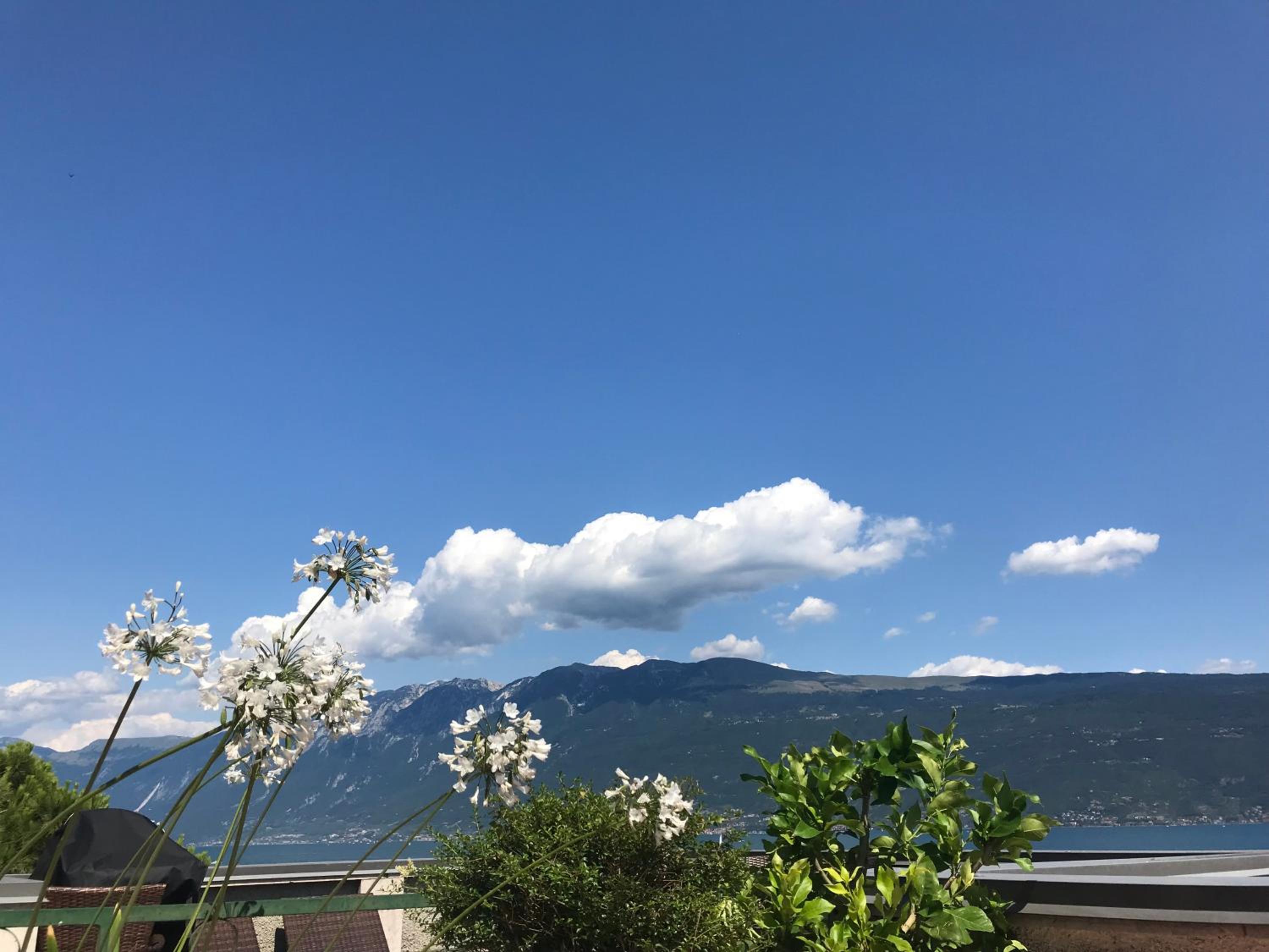 Appartamento Terrazza Paradiso