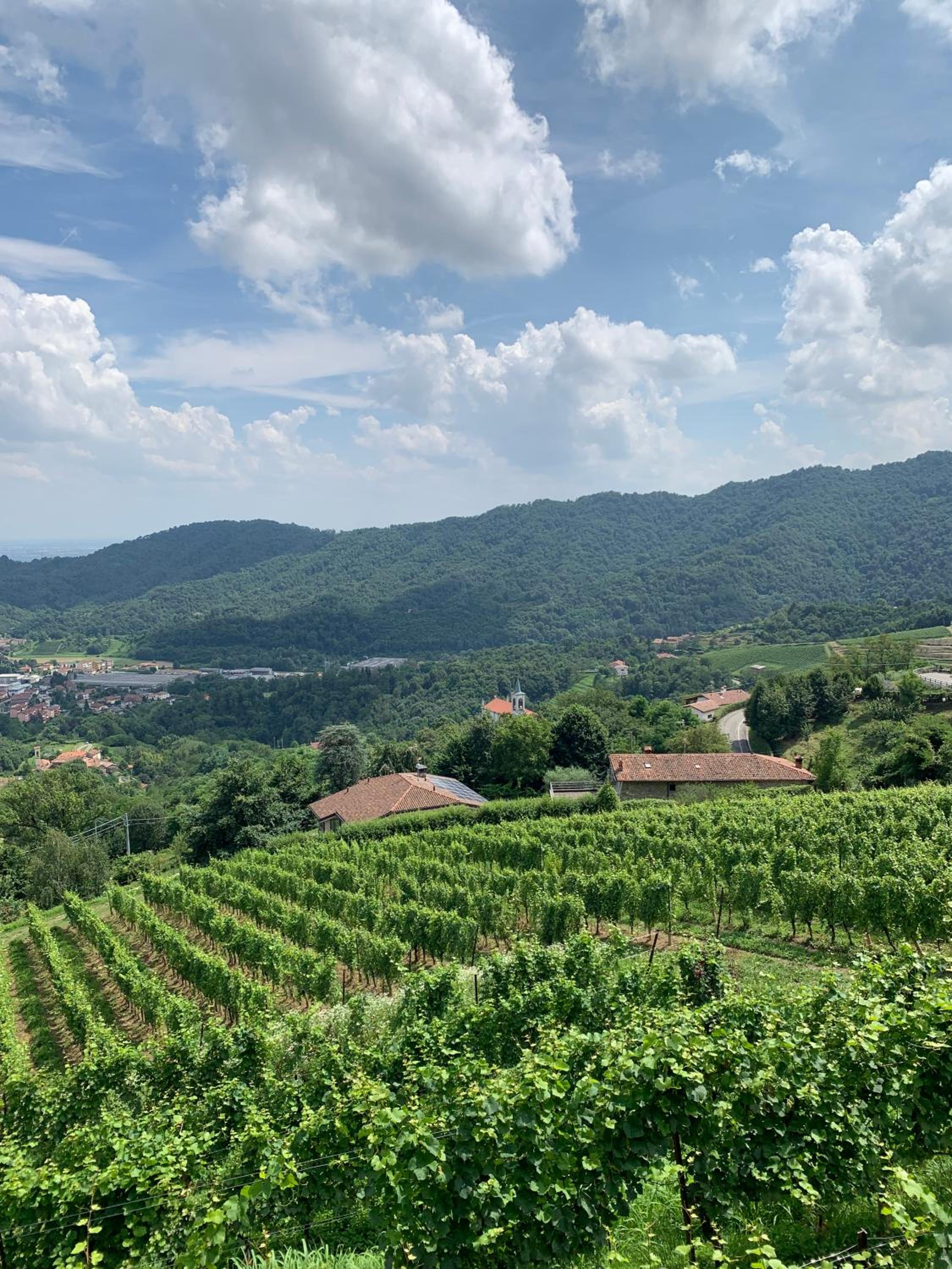 Polisena L'Altro Agriturismo Veg view 3