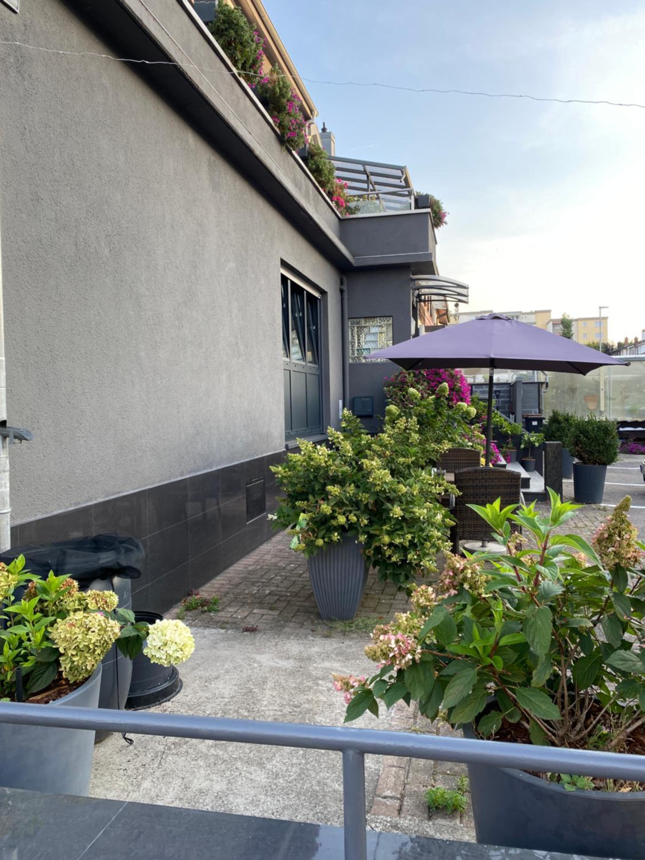 1 grosse elegante Zimmerwohnung 5 Minuten zu Fuss in die Stadtmitte