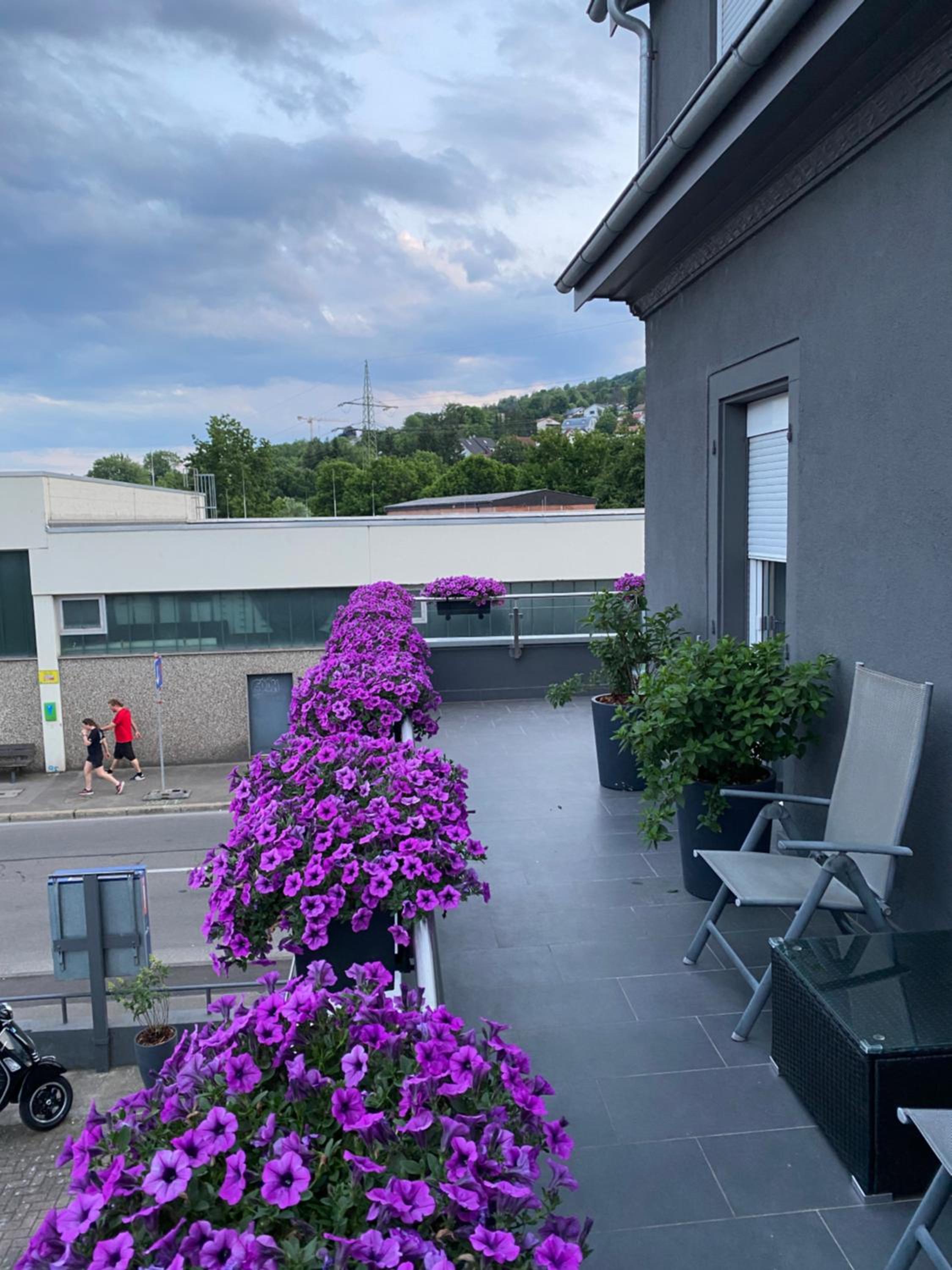 1 grosse elegante Zimmerwohnung 5 Minuten zu Fuss in die Stadtmitte