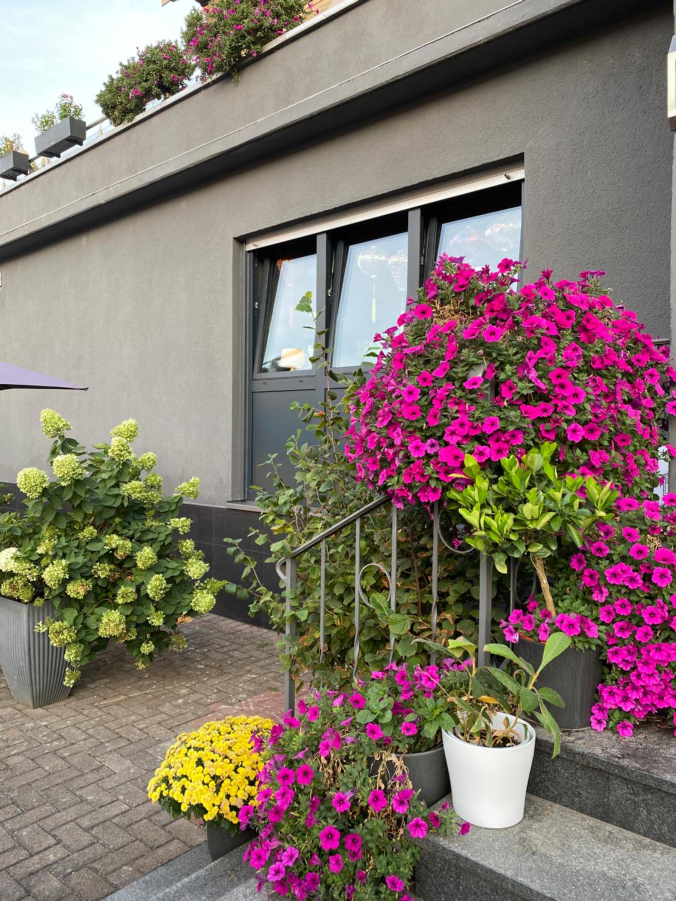 1 grosse elegante Zimmerwohnung 5 Minuten zu Fuss in die Stadtmitte