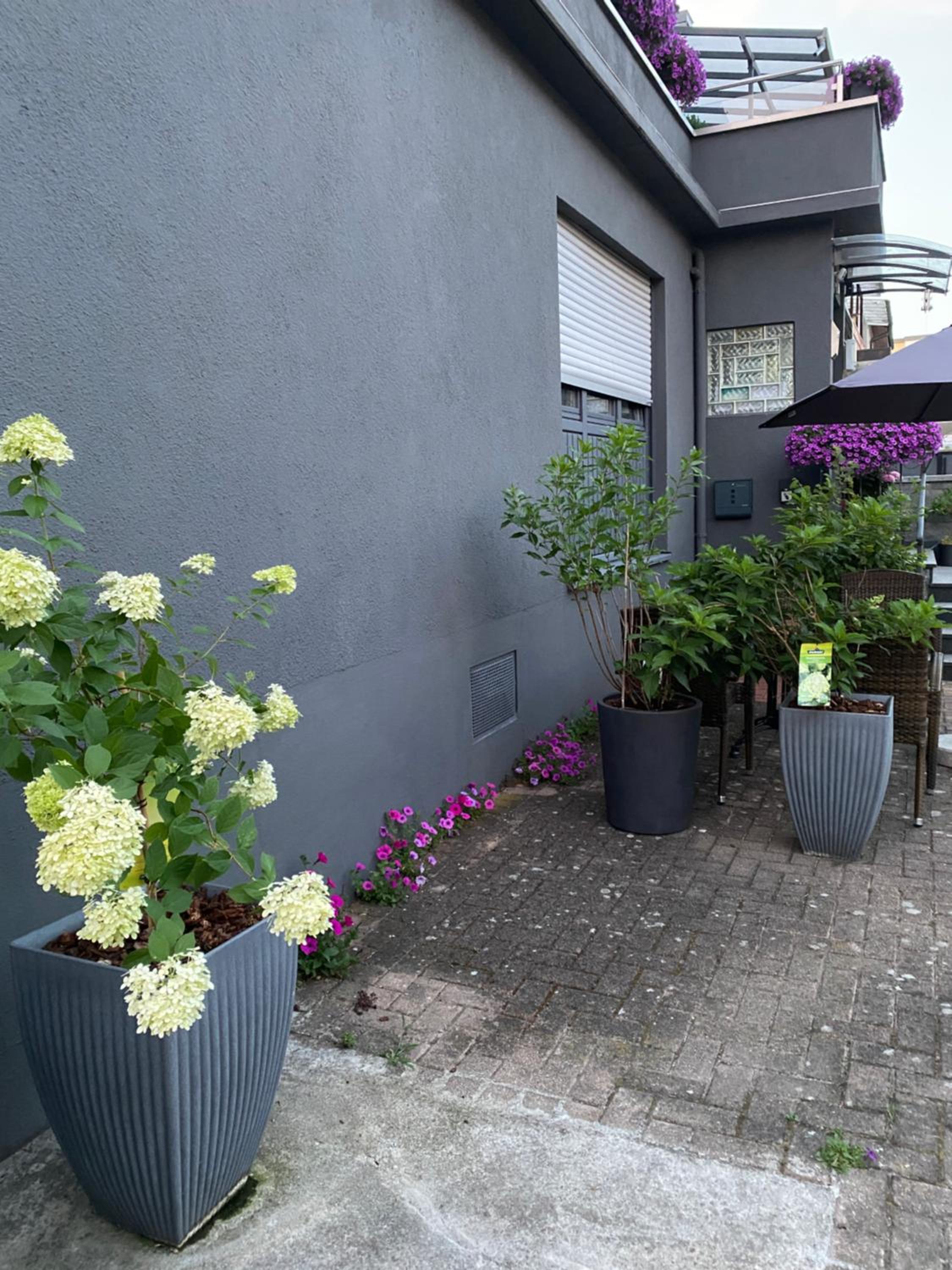 1 grosse elegante Zimmerwohnung 5 Minuten zu Fuss in die Stadtmitte