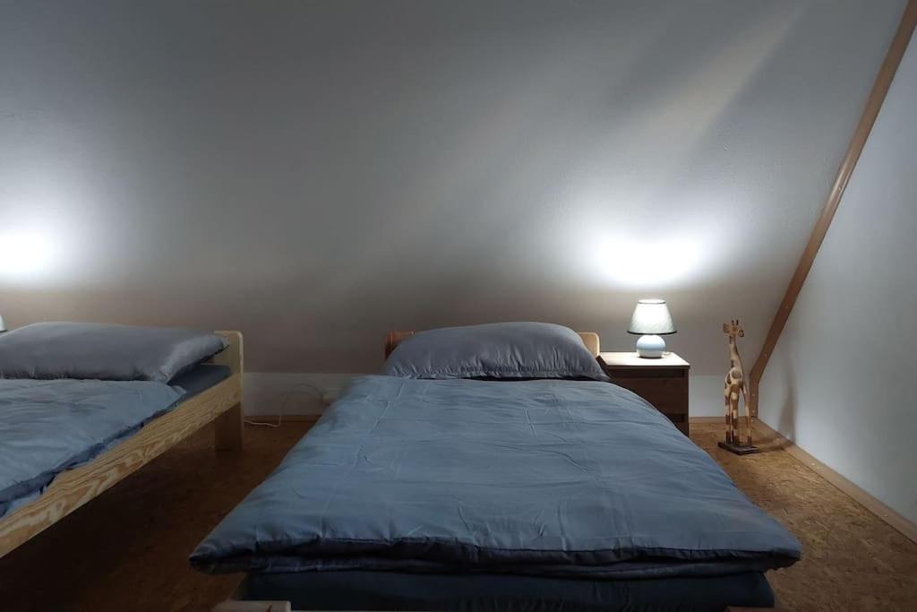 Klasický dům, 5 ložnic , 5 bedrooms, Praha