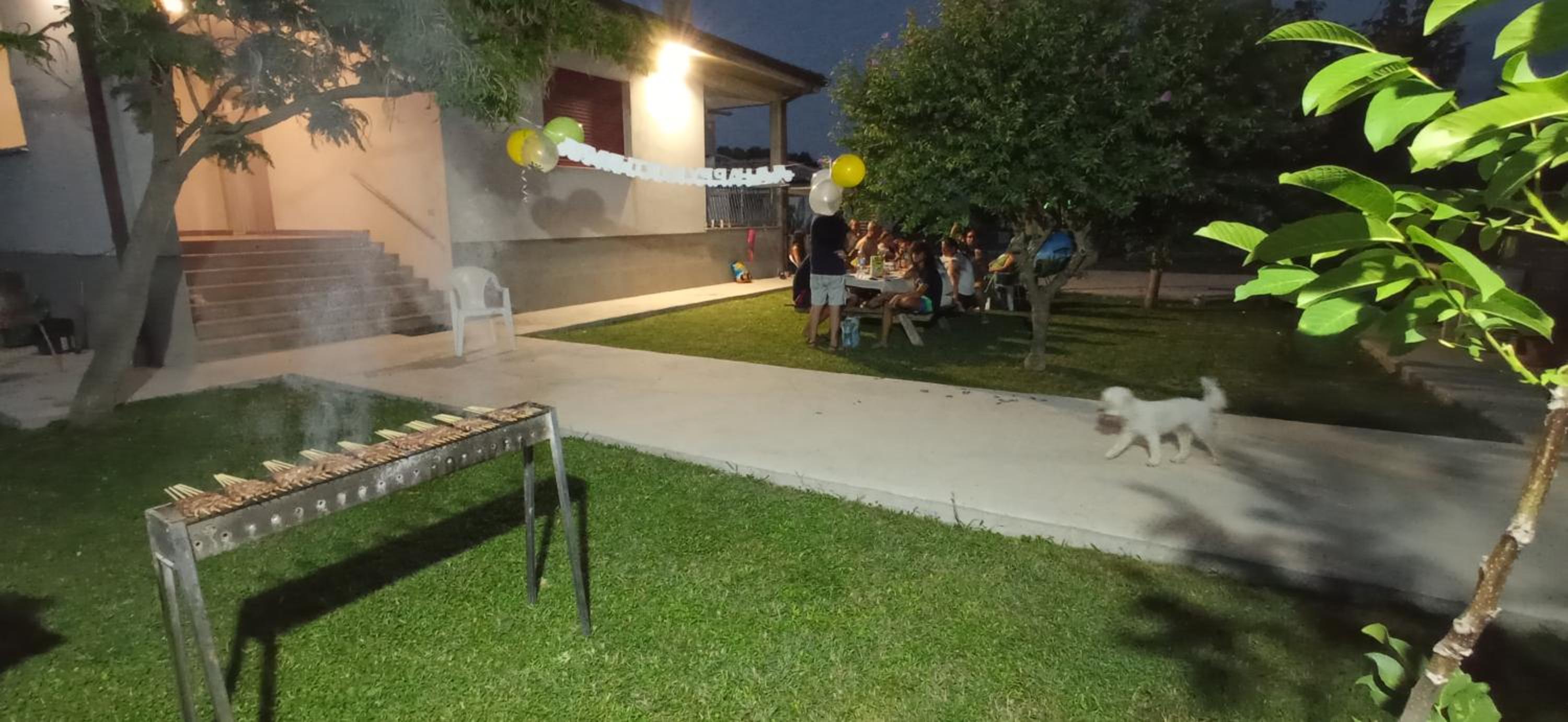 Photo 11