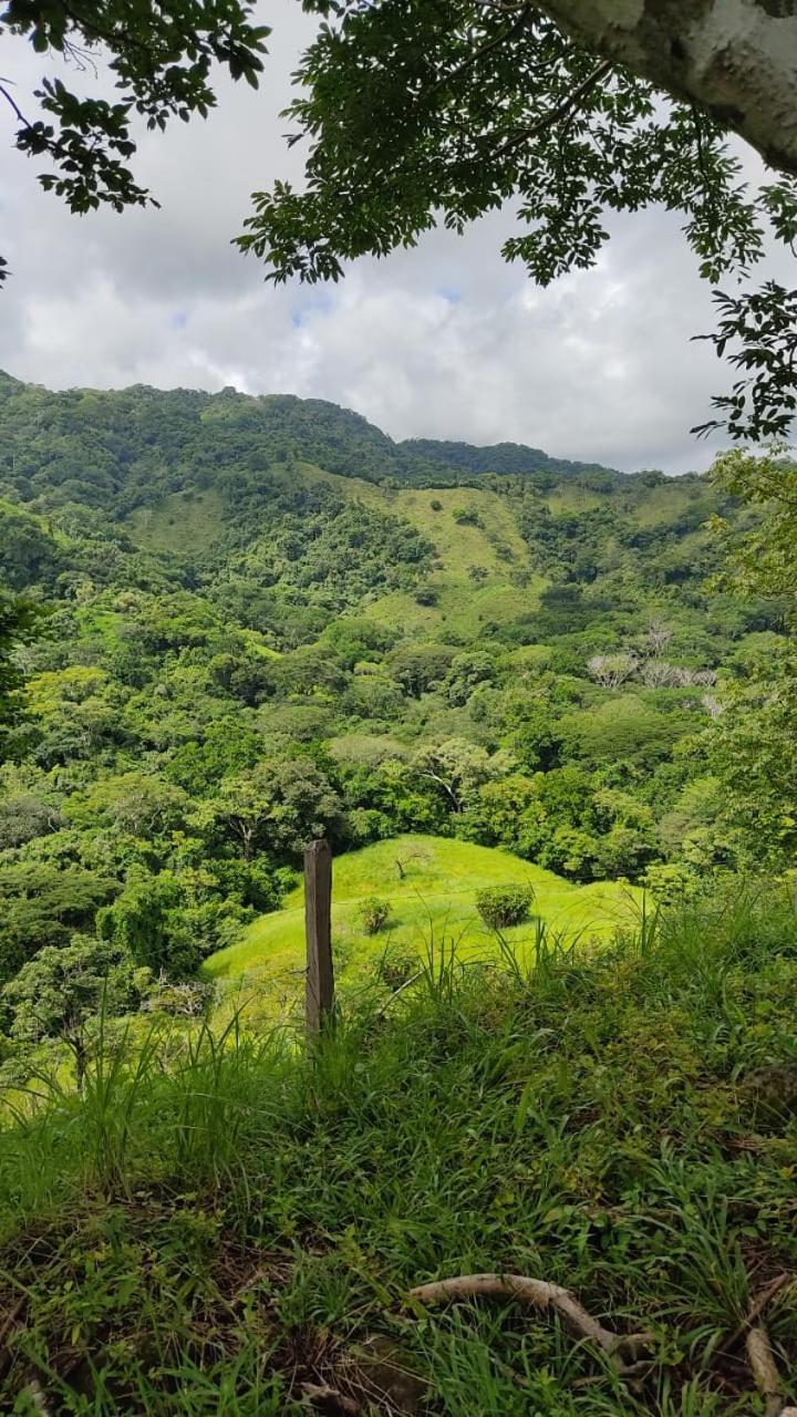 Finca Colibri, vue incroyable sur le Golfe de Nicoya, en Pleine Nature, ferry Playa Najanjo