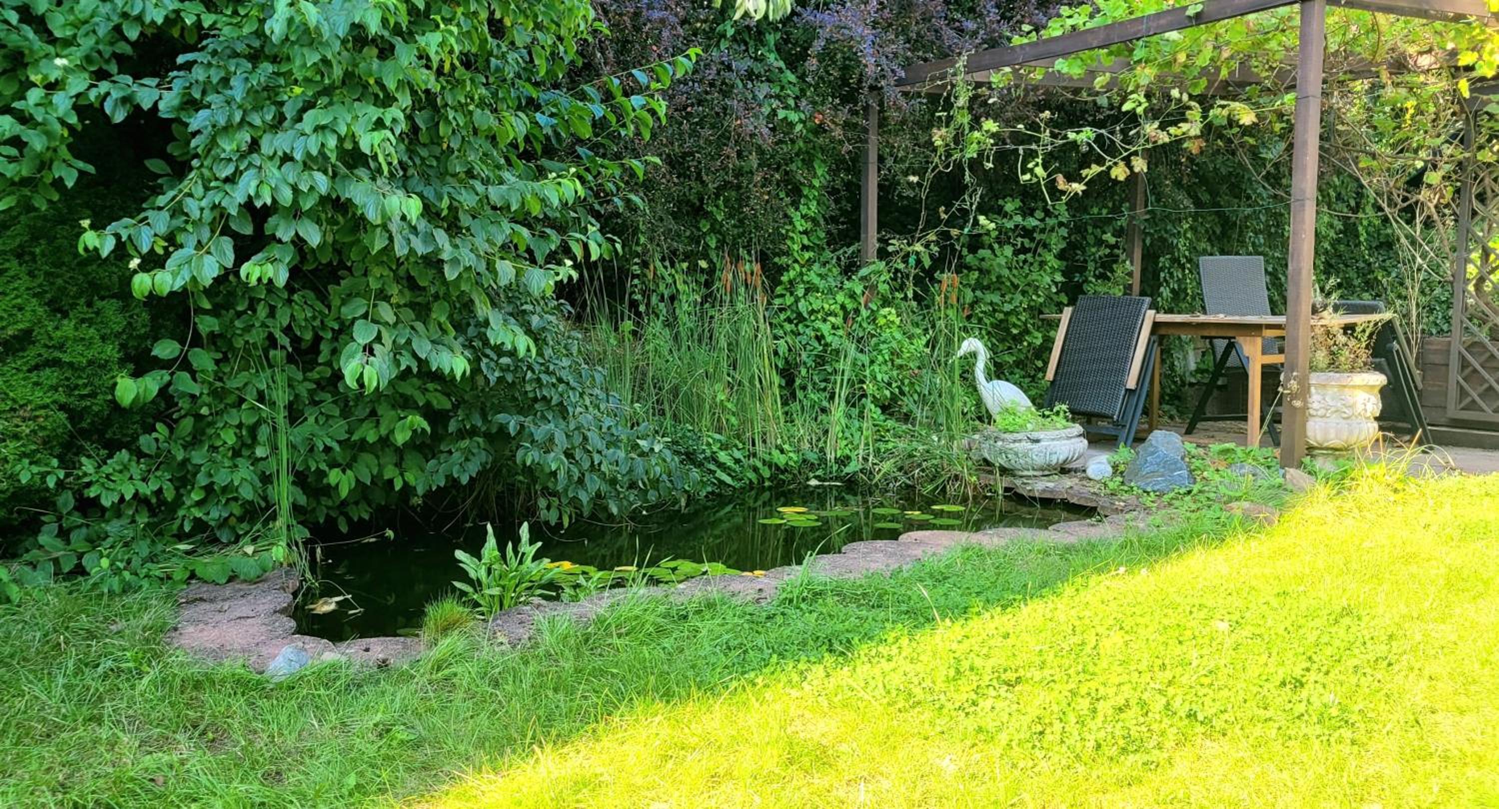FeWo in Heddesbach