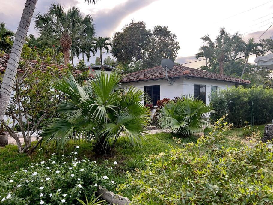 Secluded Beach Adventure Cabana - Newly Renovated! view 5