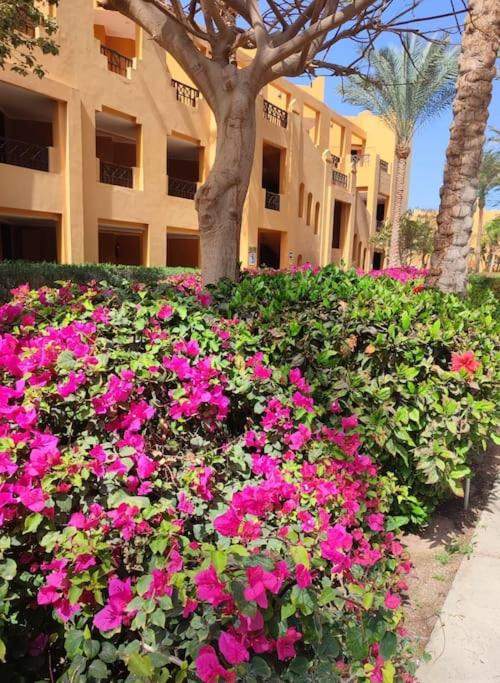 Chalet in Stella Makadi on ground floor with beach and pools access