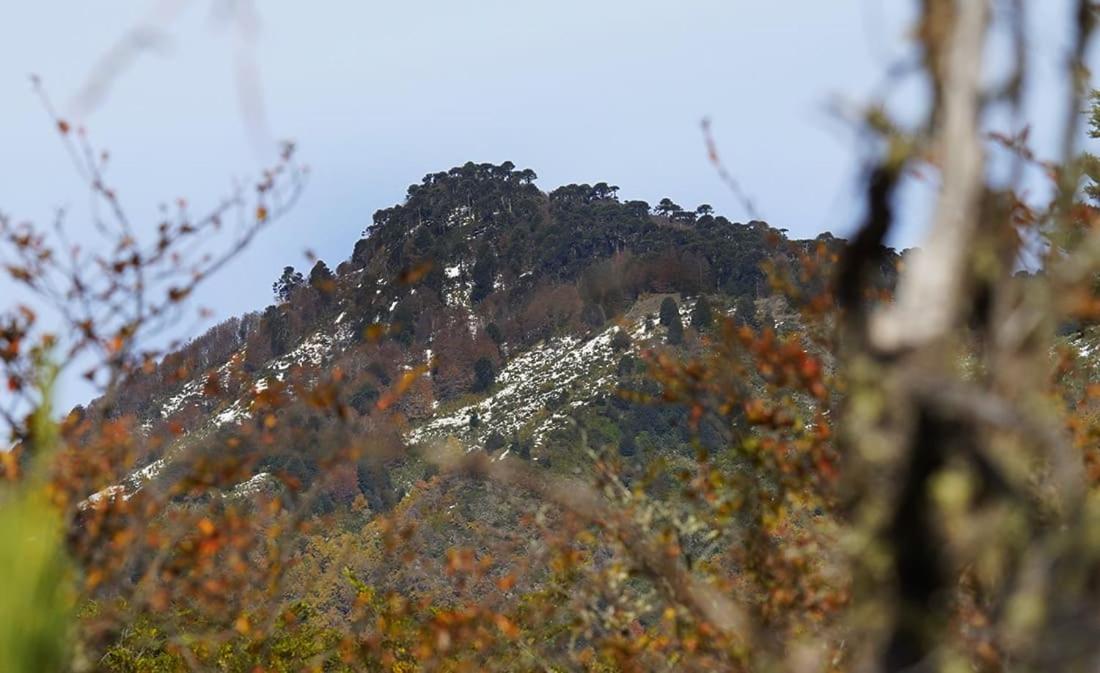 Rako Parque