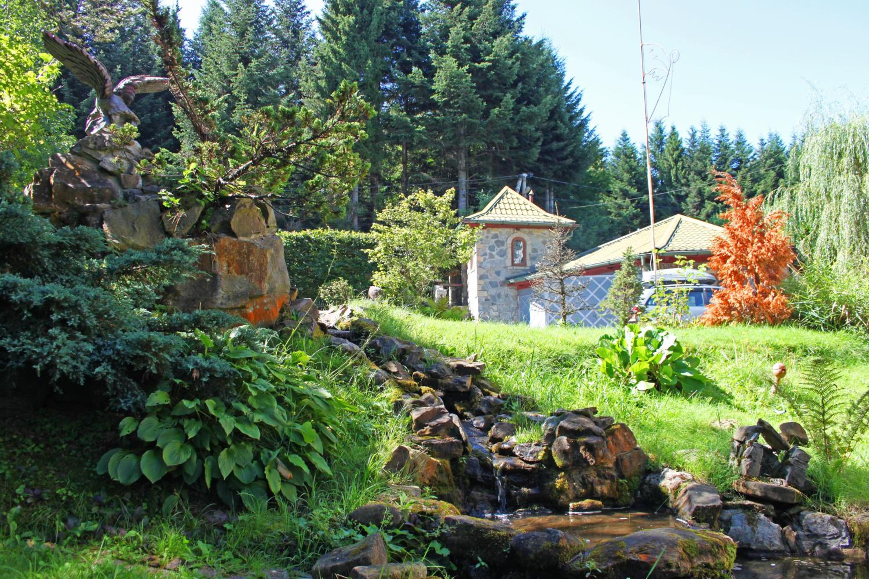 Photo 8
