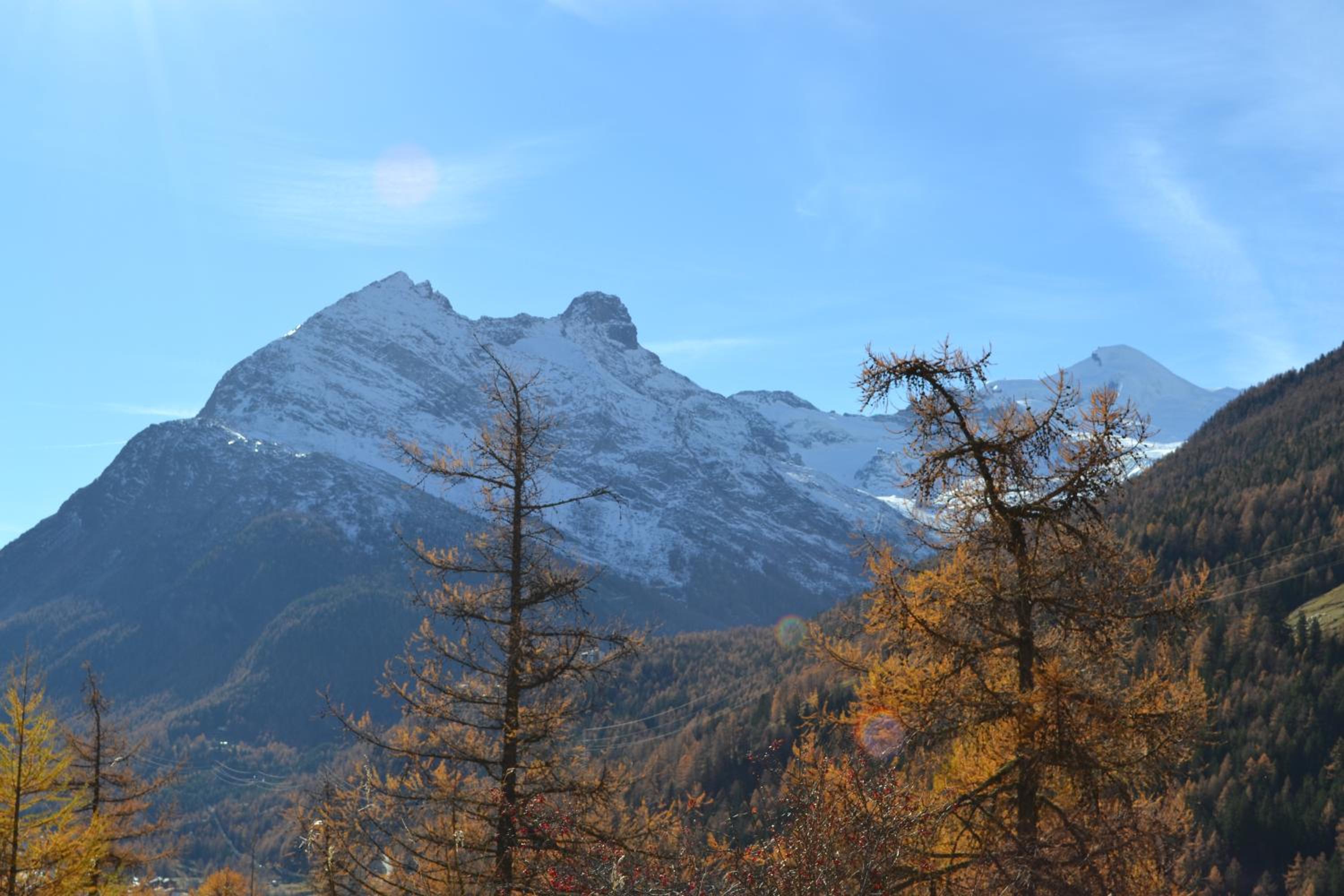 Haus Bergtreu view 5