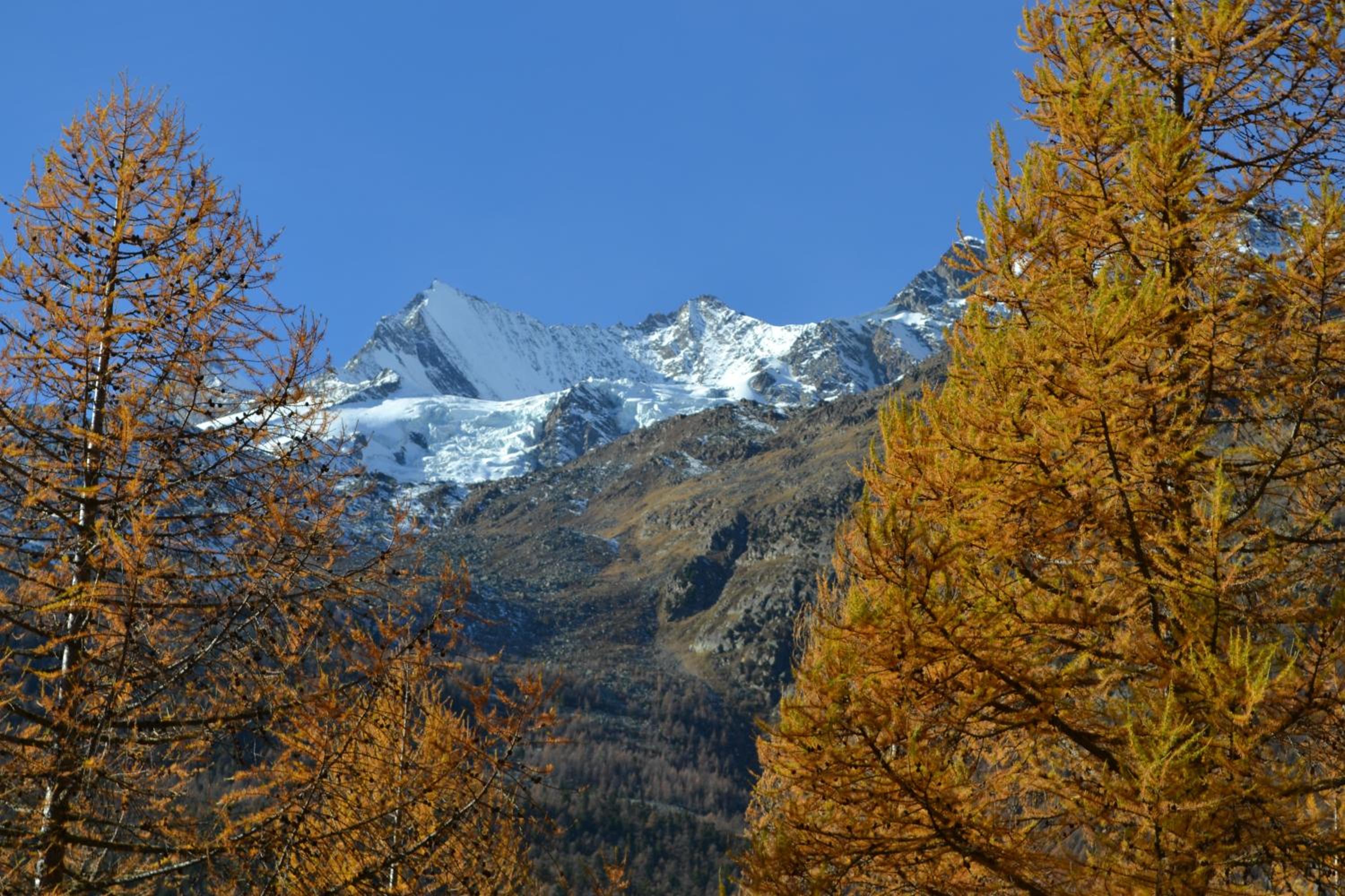 Haus Bergtreu view 4