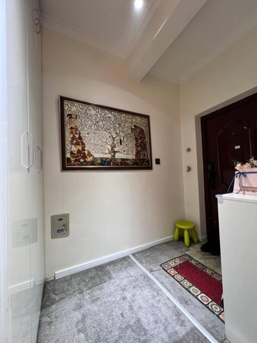 One bedroom apartment