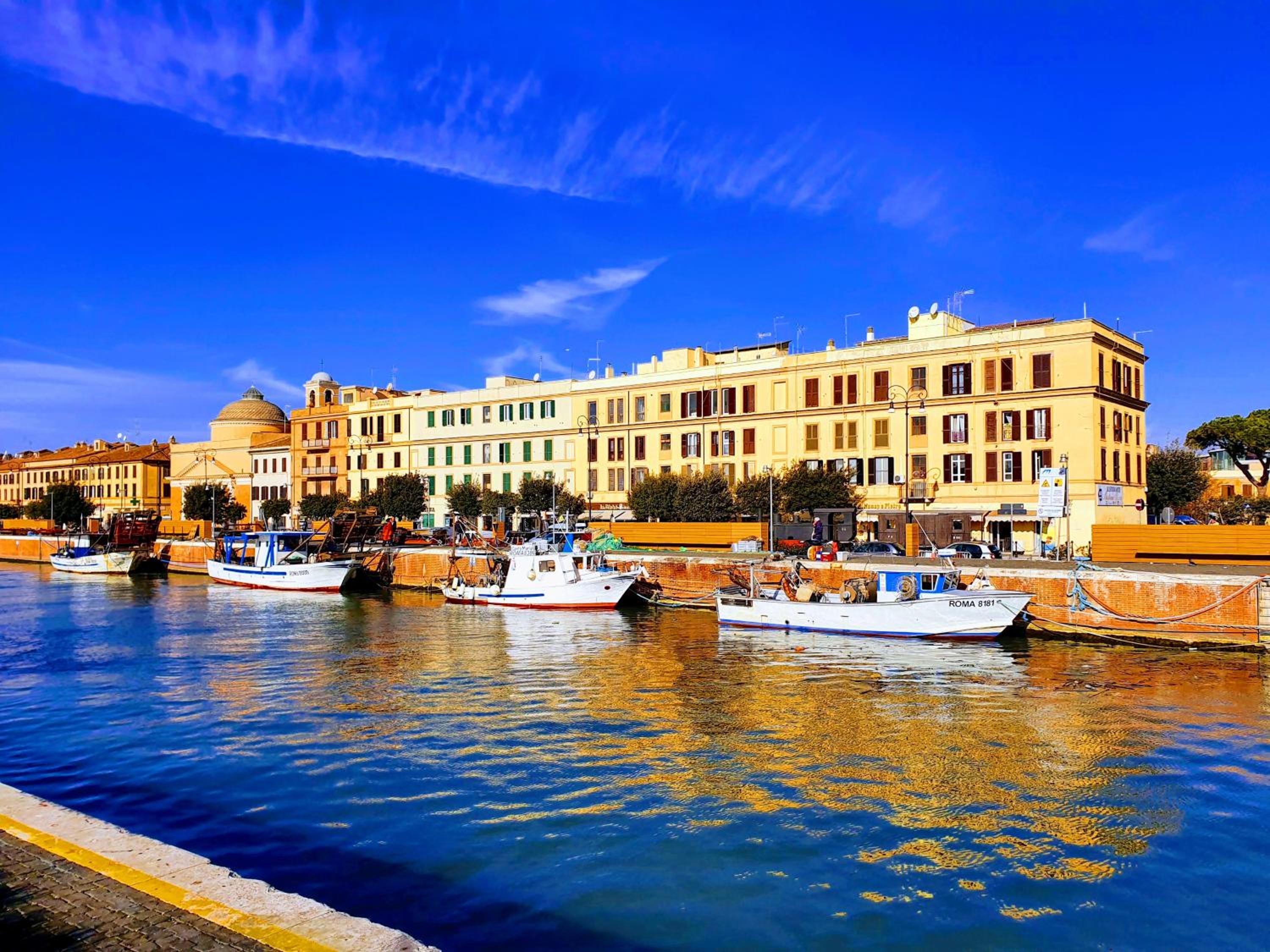 The Happy Nest photo 5